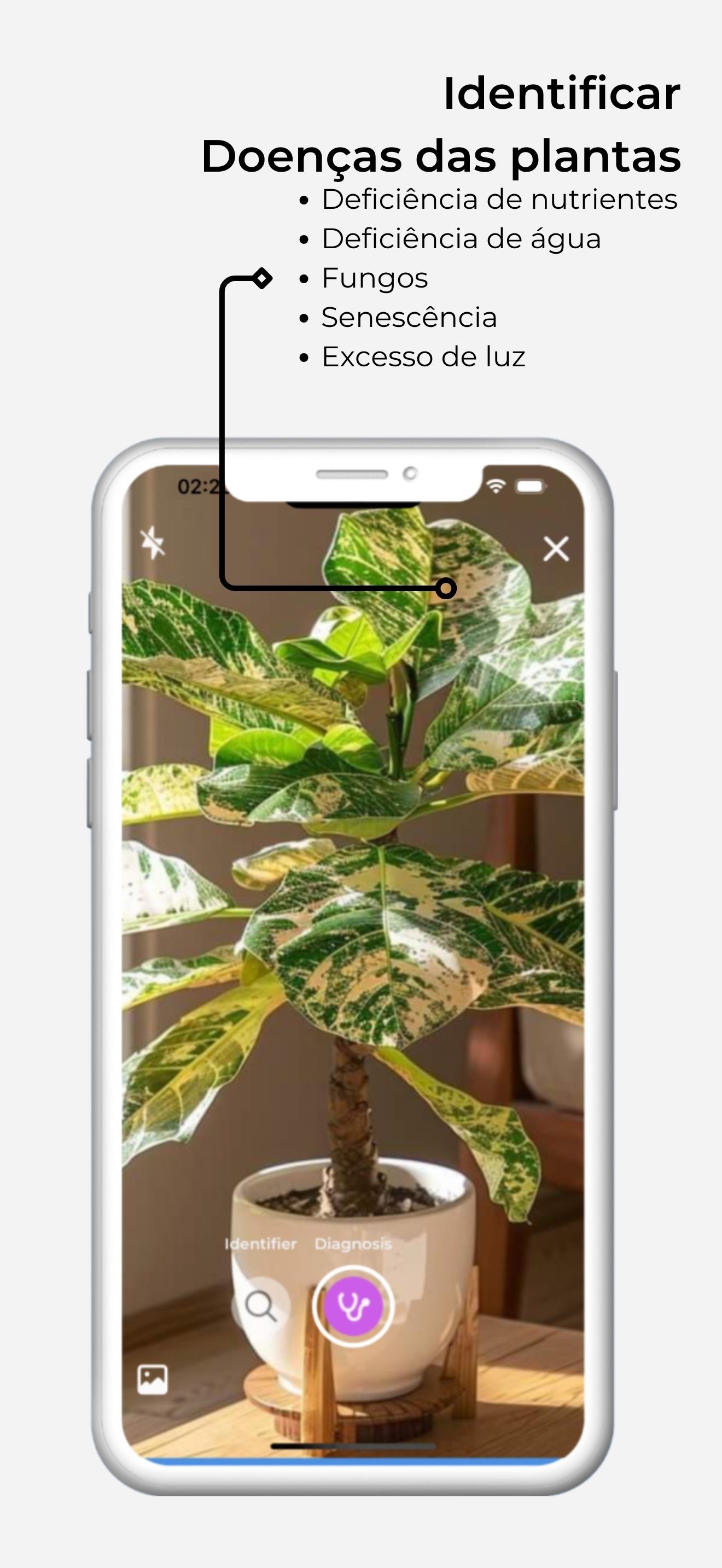 Captura de ecrã 3 da app Identificador de Plantas App'