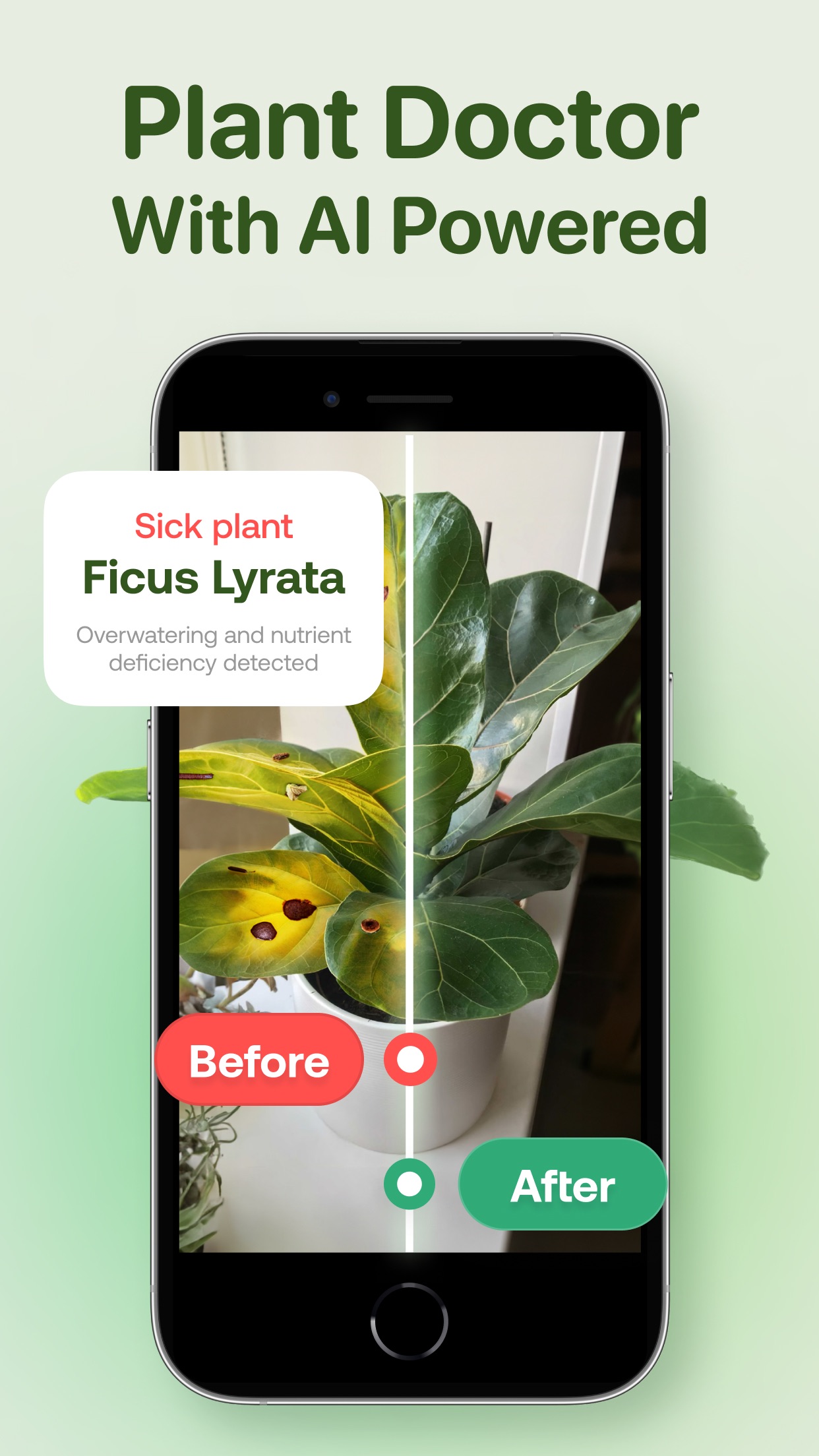 Captura de ecrã 3 da app AI Plant Identifier - Plant ID
