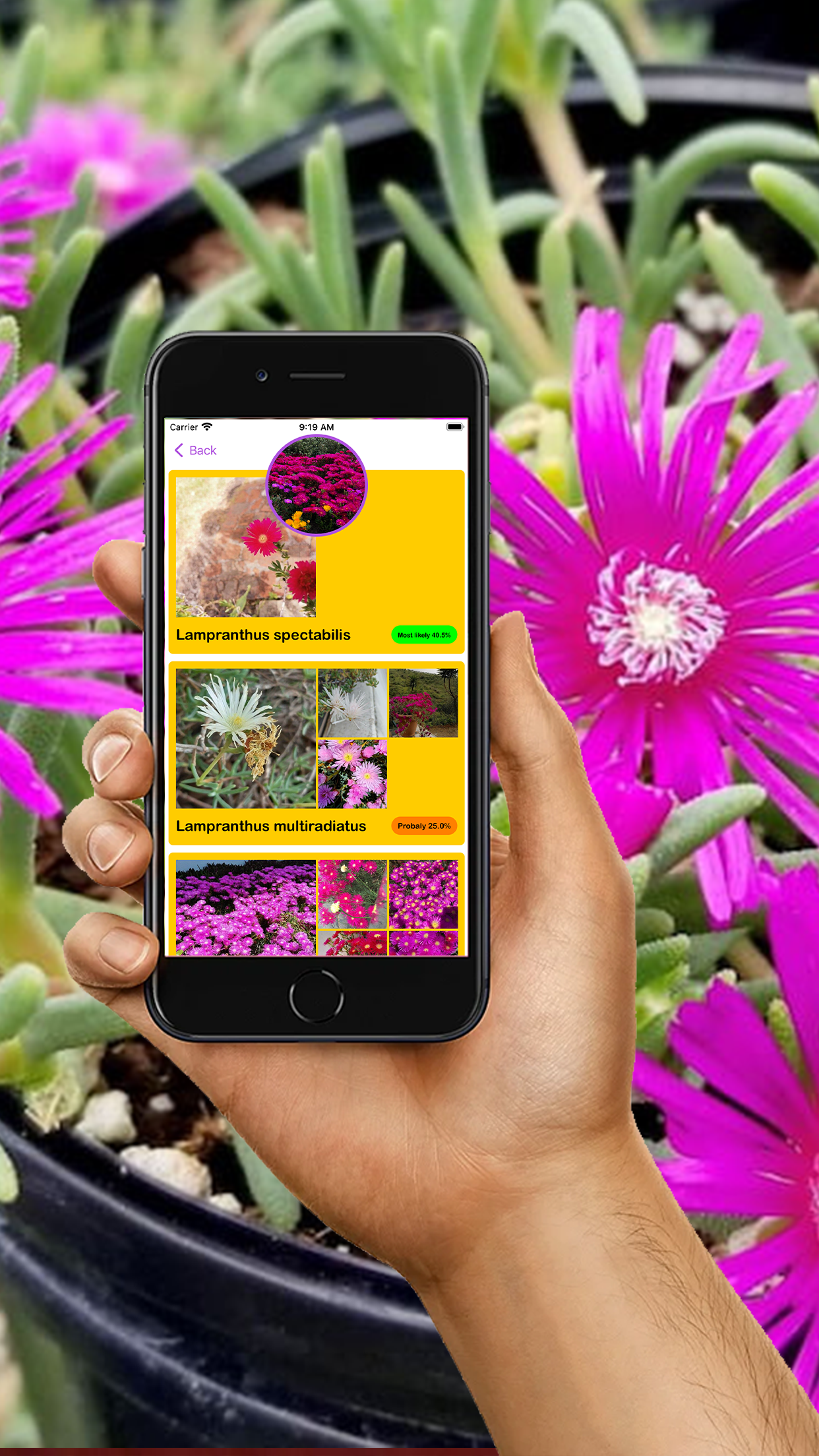 Captura de ecrã 4 da app PlantMe