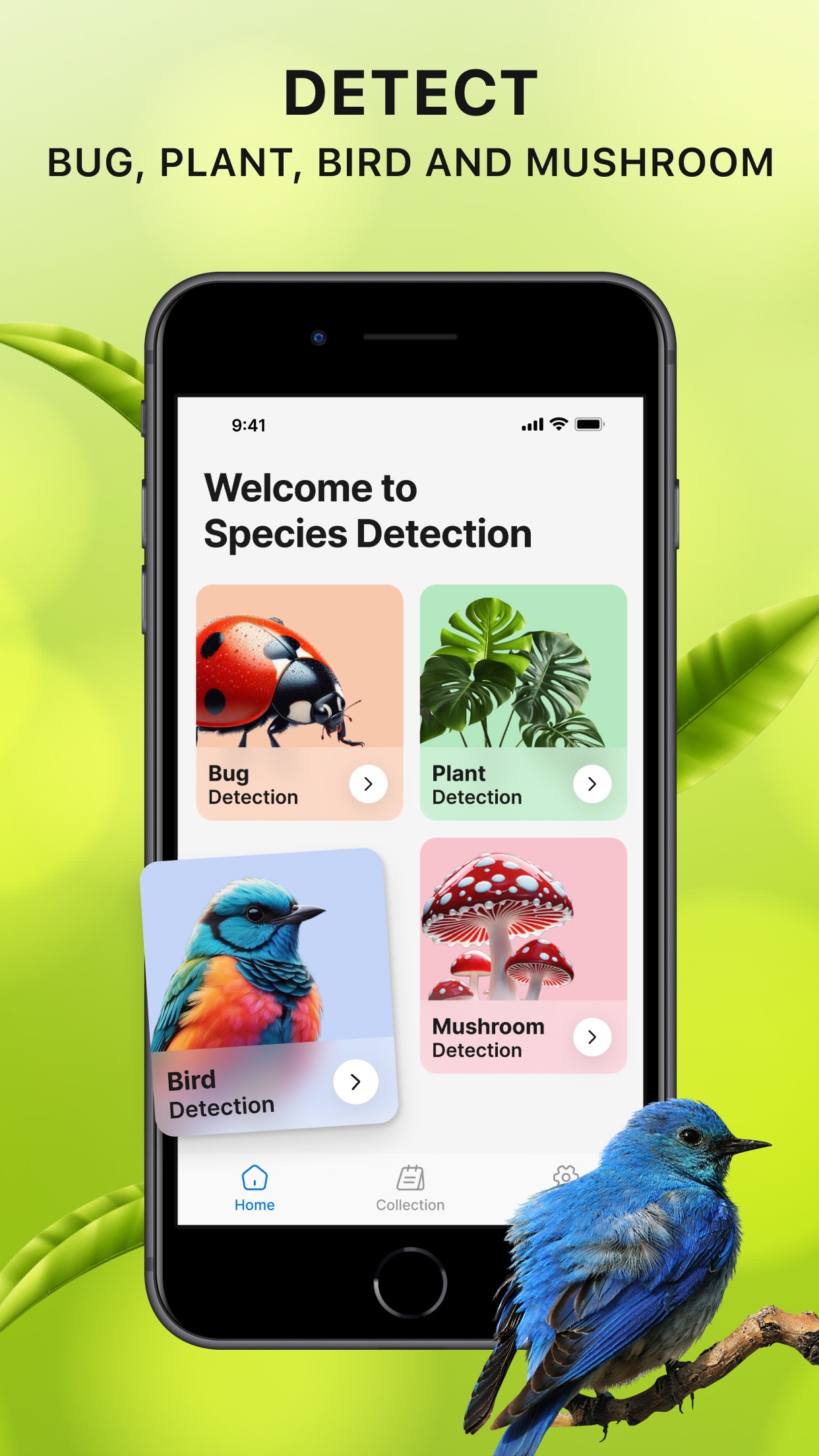 Captura de ecrã 3 da app Identify Anything AI Scanner