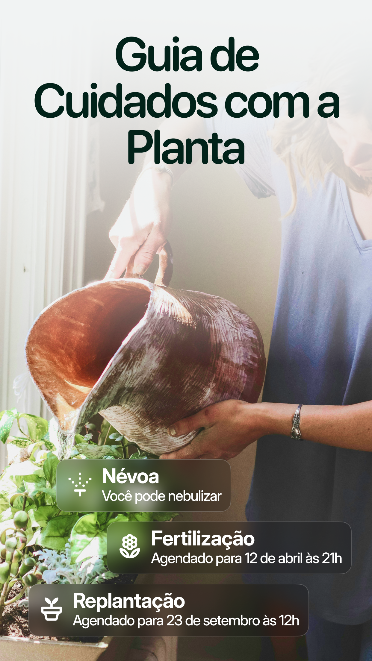 Captura de ecrã 3 da app Planto: Identificar Plantas