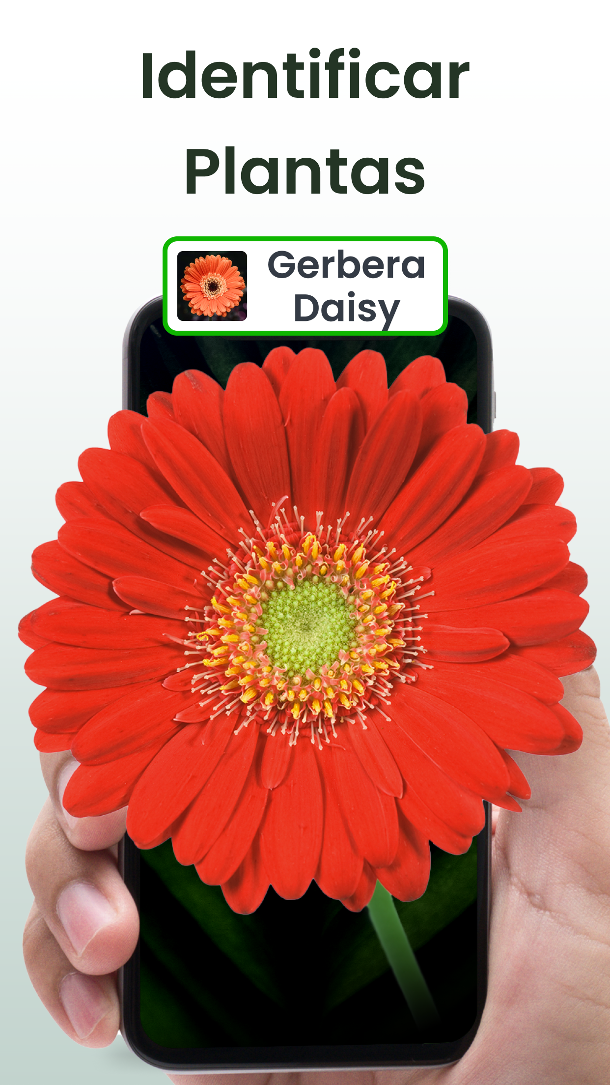 Captura de ecrã 1 da app Identificar plantas: Plantiary