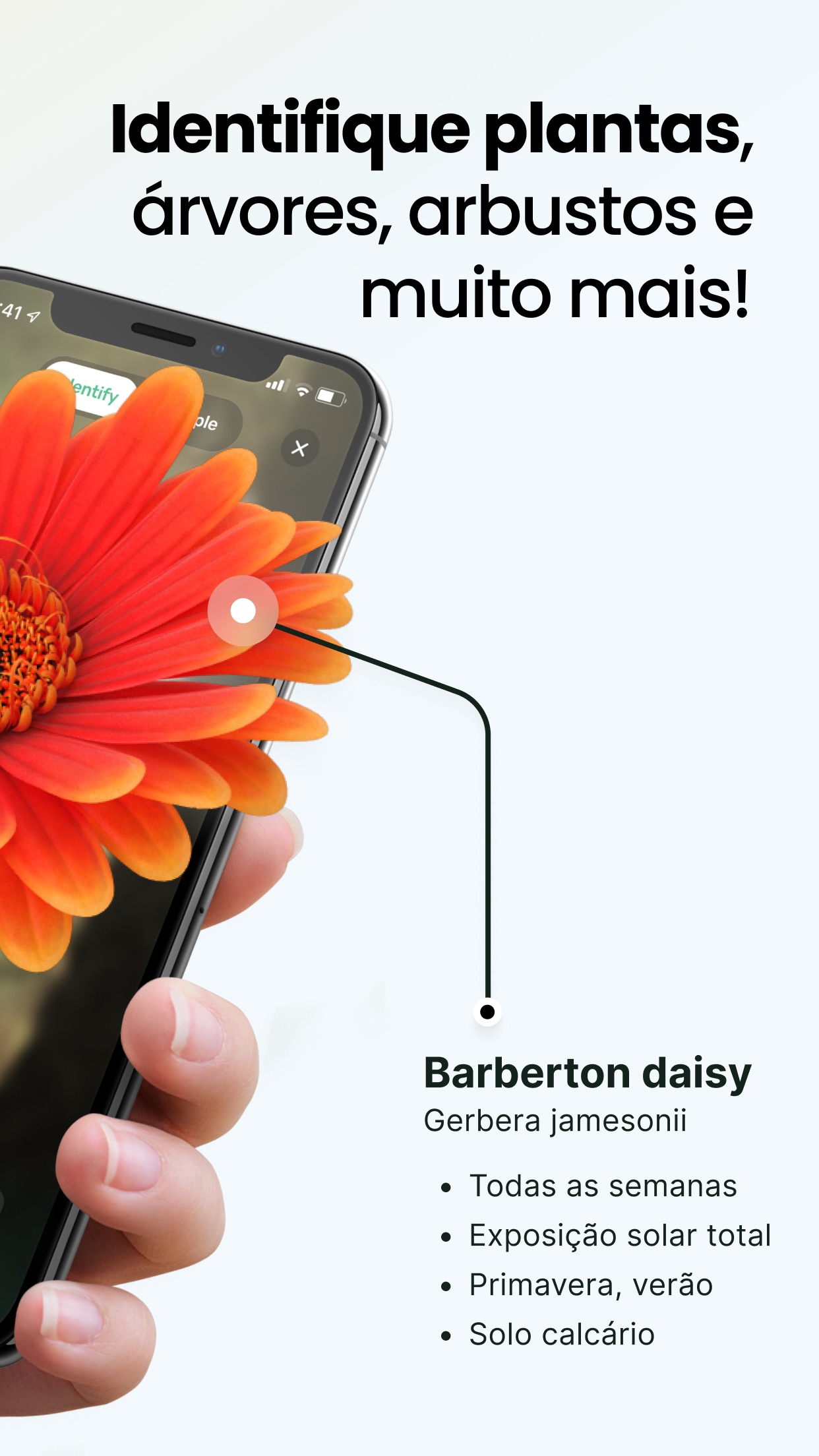 Captura de ecrã 2 da app PlantApp – Identifica plantas