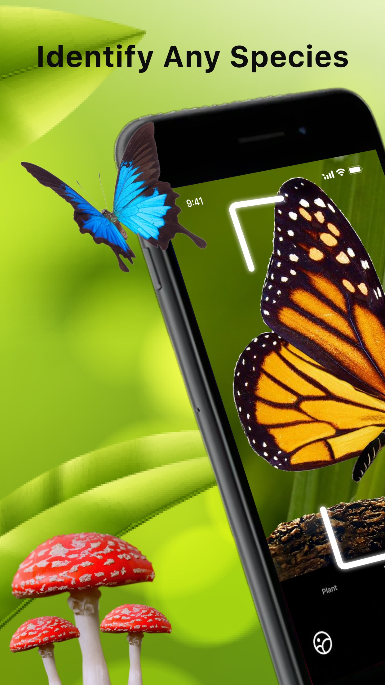 Captura de ecrã 1 da app Identify Anything AI Scanner