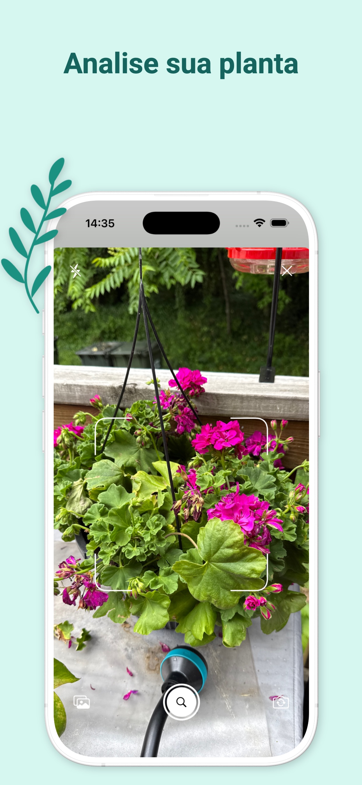Captura de ecrã 2 da app As minhas plantas: cuidados