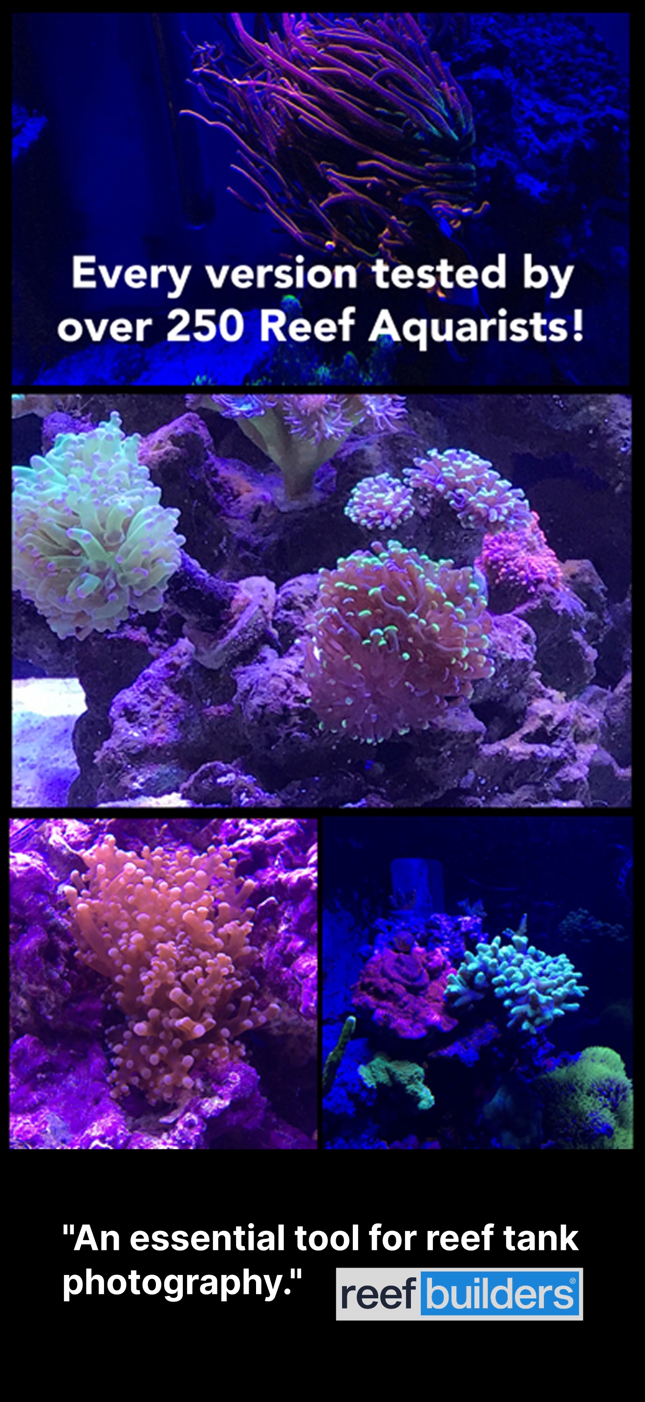 Aquarium Camera screenshot 3