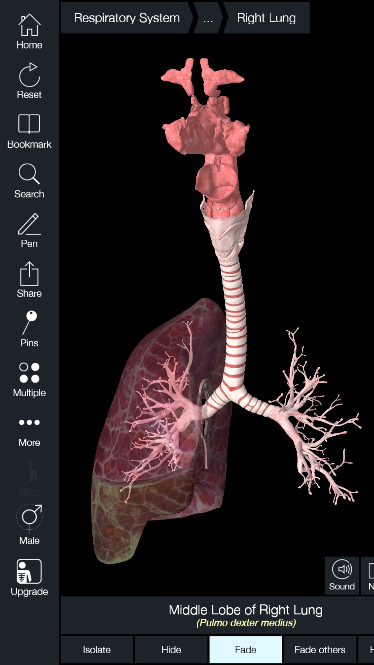 Essential Anatomy 5 screenshot 3