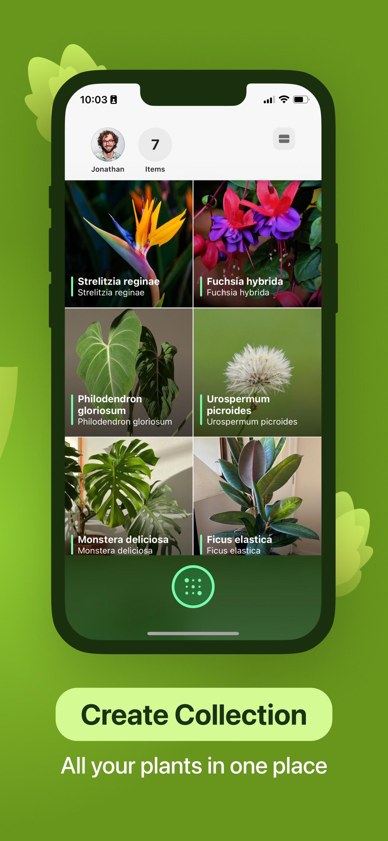 Captura de ecrã 4 da app Leaf Identification