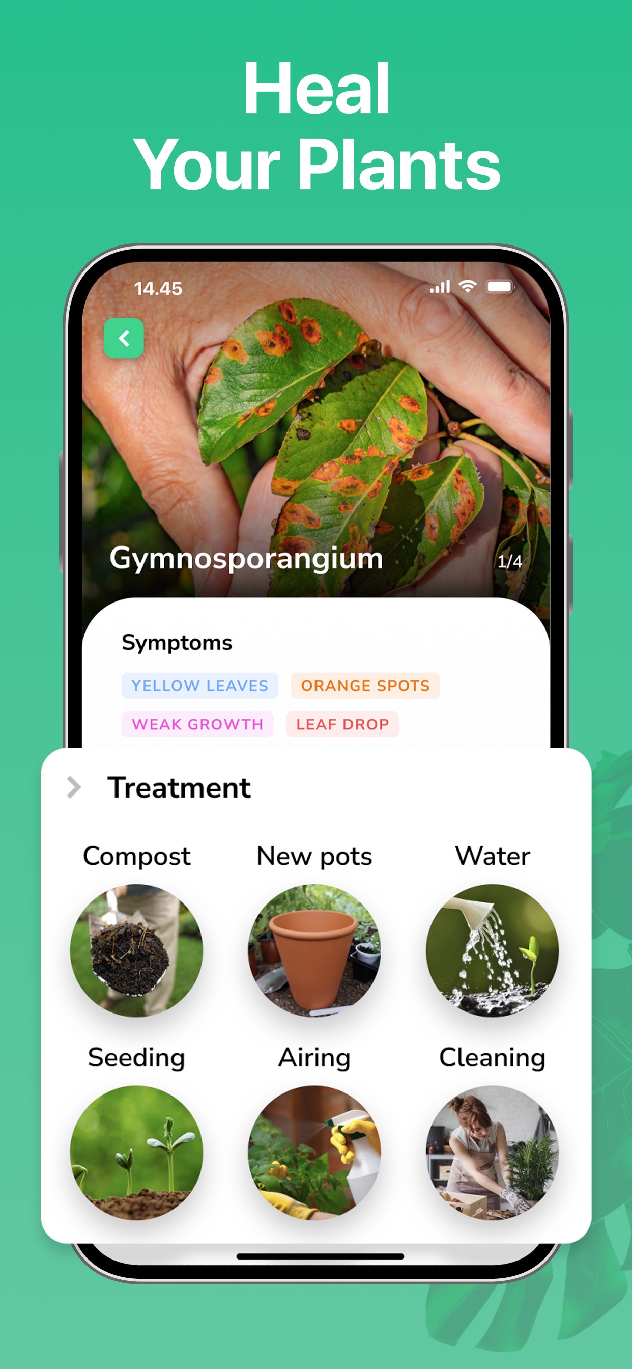 Captura de ecrã 3 da app Identificador de Plantas ·