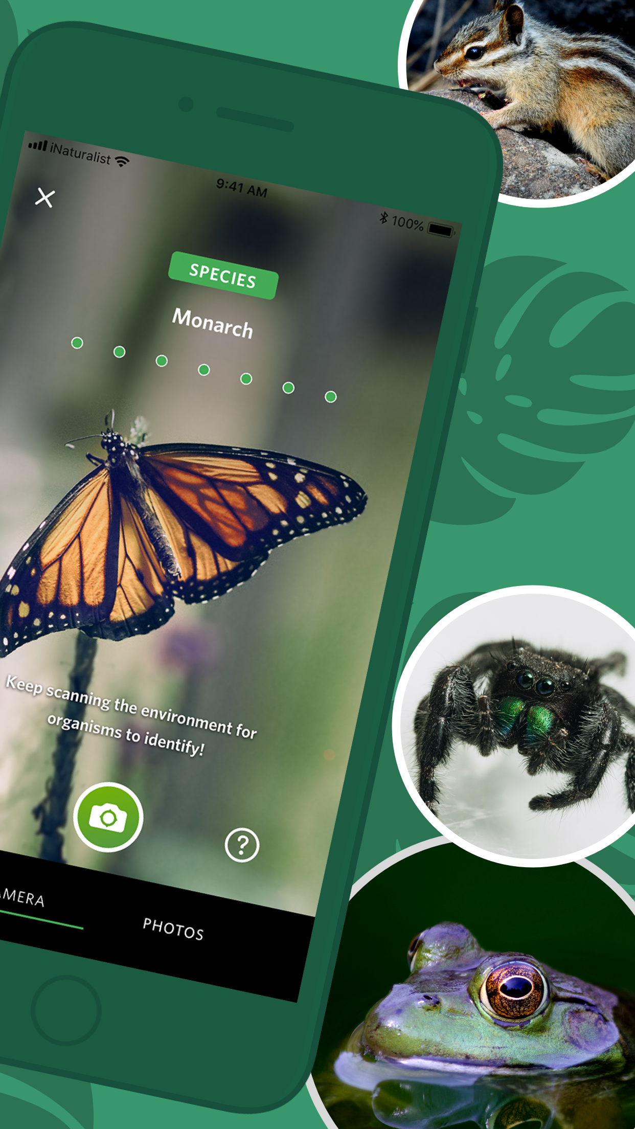 Captura de ecrã 2 da app Seek por iNaturalist