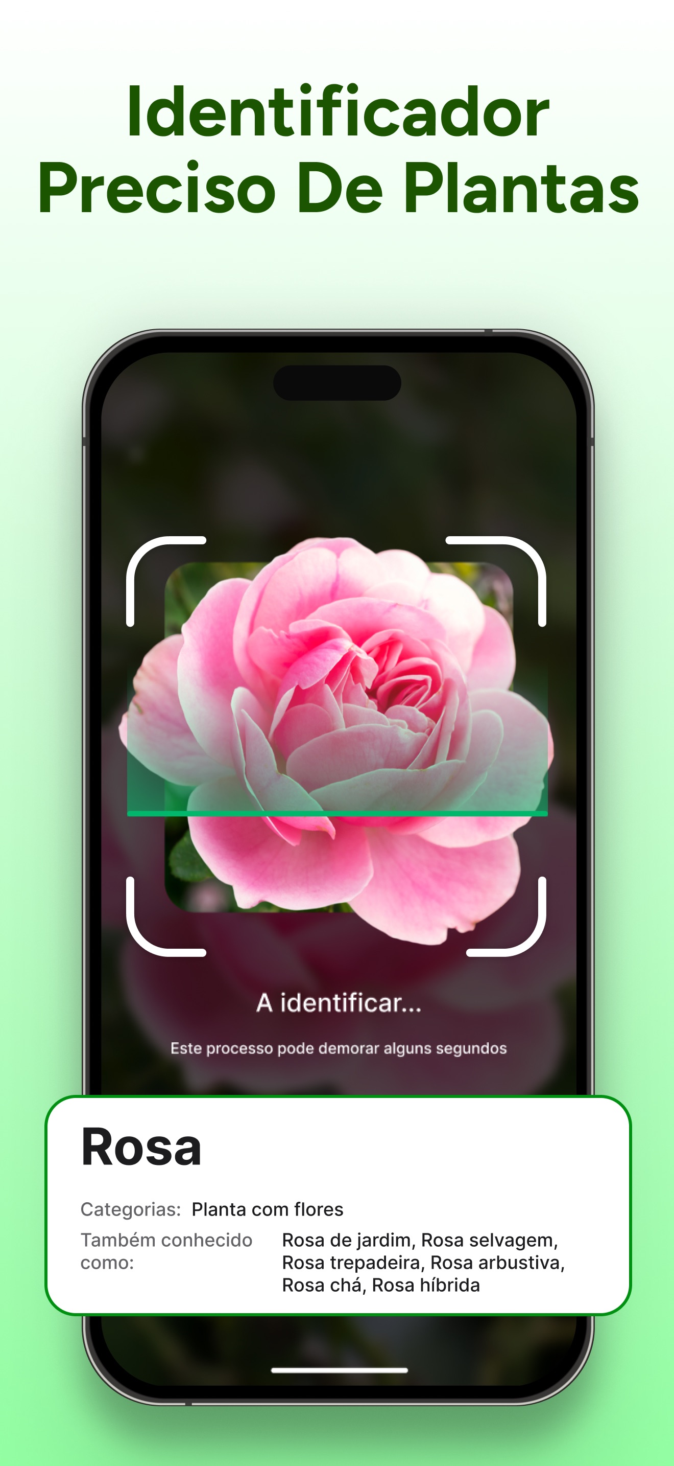 Captura de ecrã 2 da app PlantCheck: Plantas