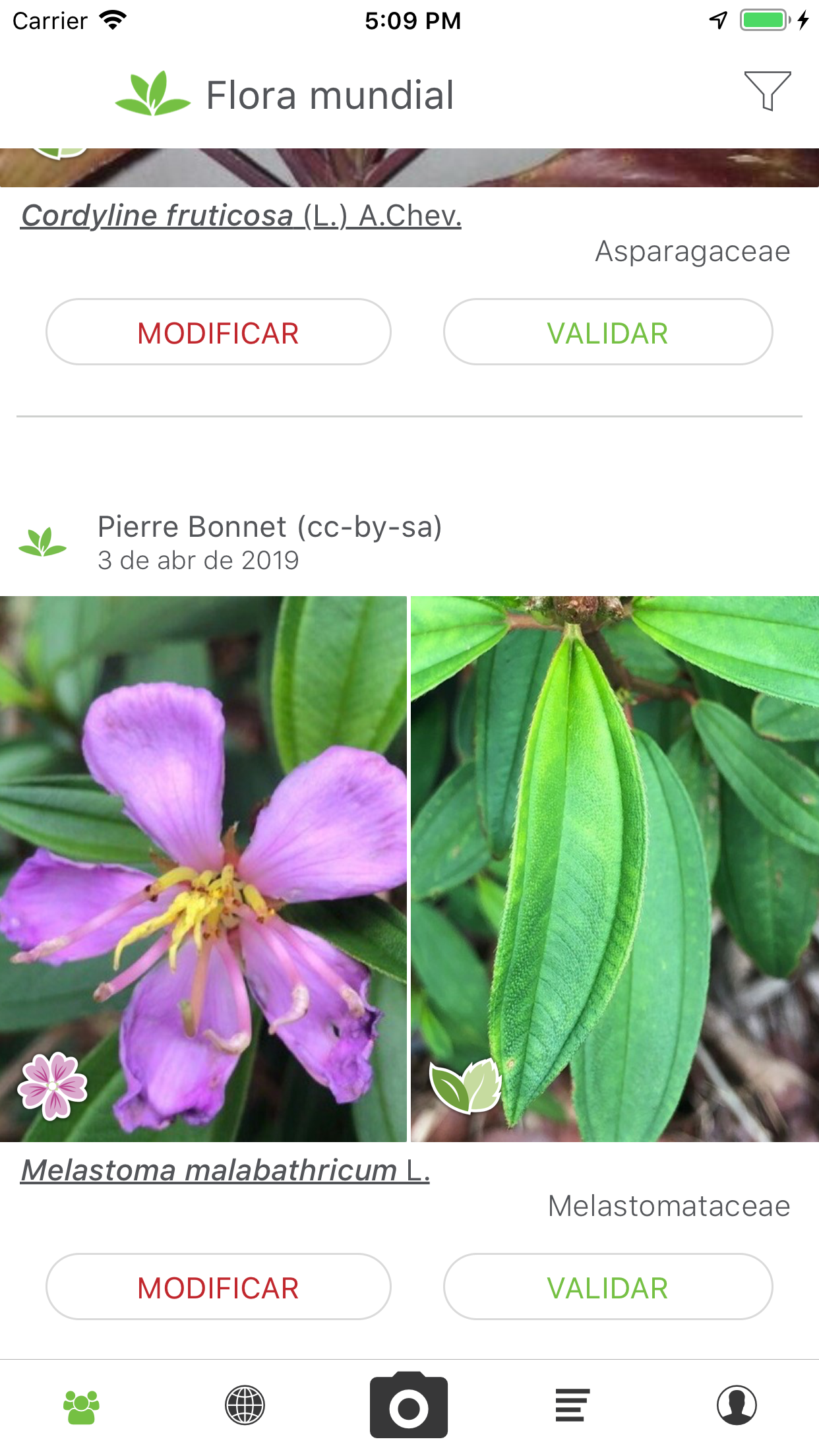 Captura de ecrã 1 da app PlantNet