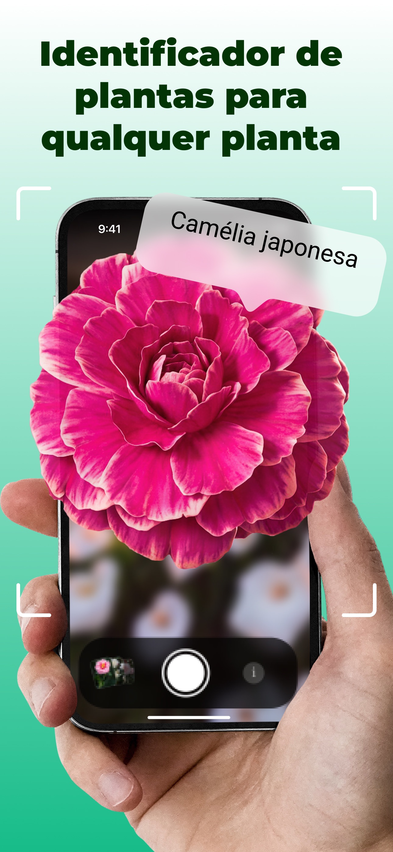 Captura de ecrã 1 da app Identificador de Plantas: