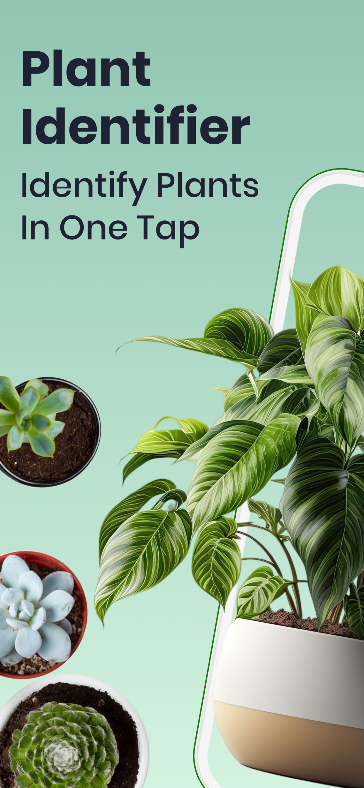 Captura de ecrã 1 da app Plant Identifier  .