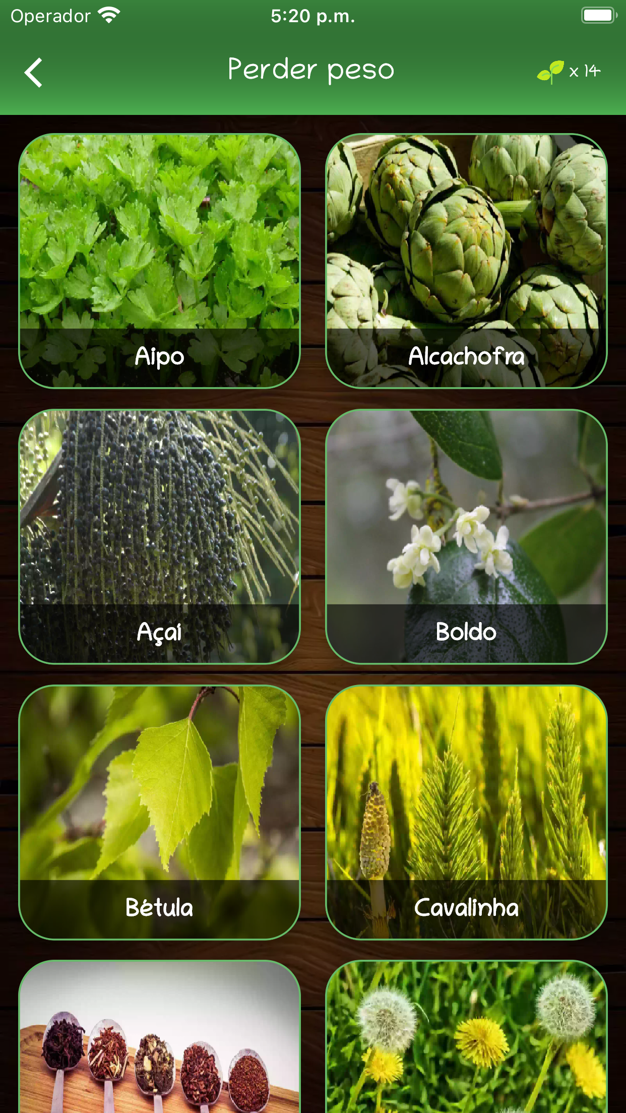 Captura de ecrã 3 da app myRemedy: Plantas medicinais