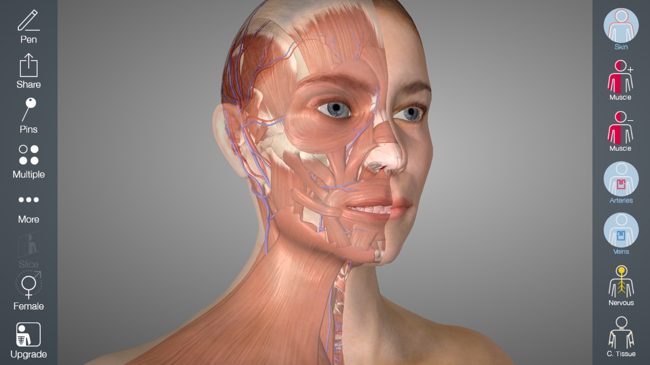 Essential Anatomy 5 screenshot 2