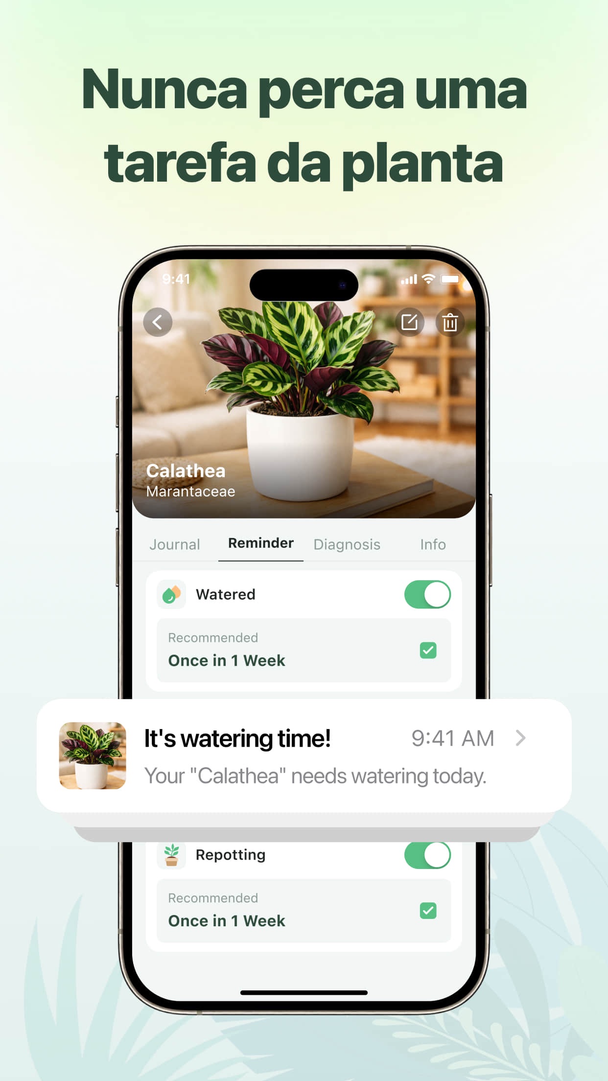 Captura de ecrã 4 da app PlantGuide - ID de Plantas