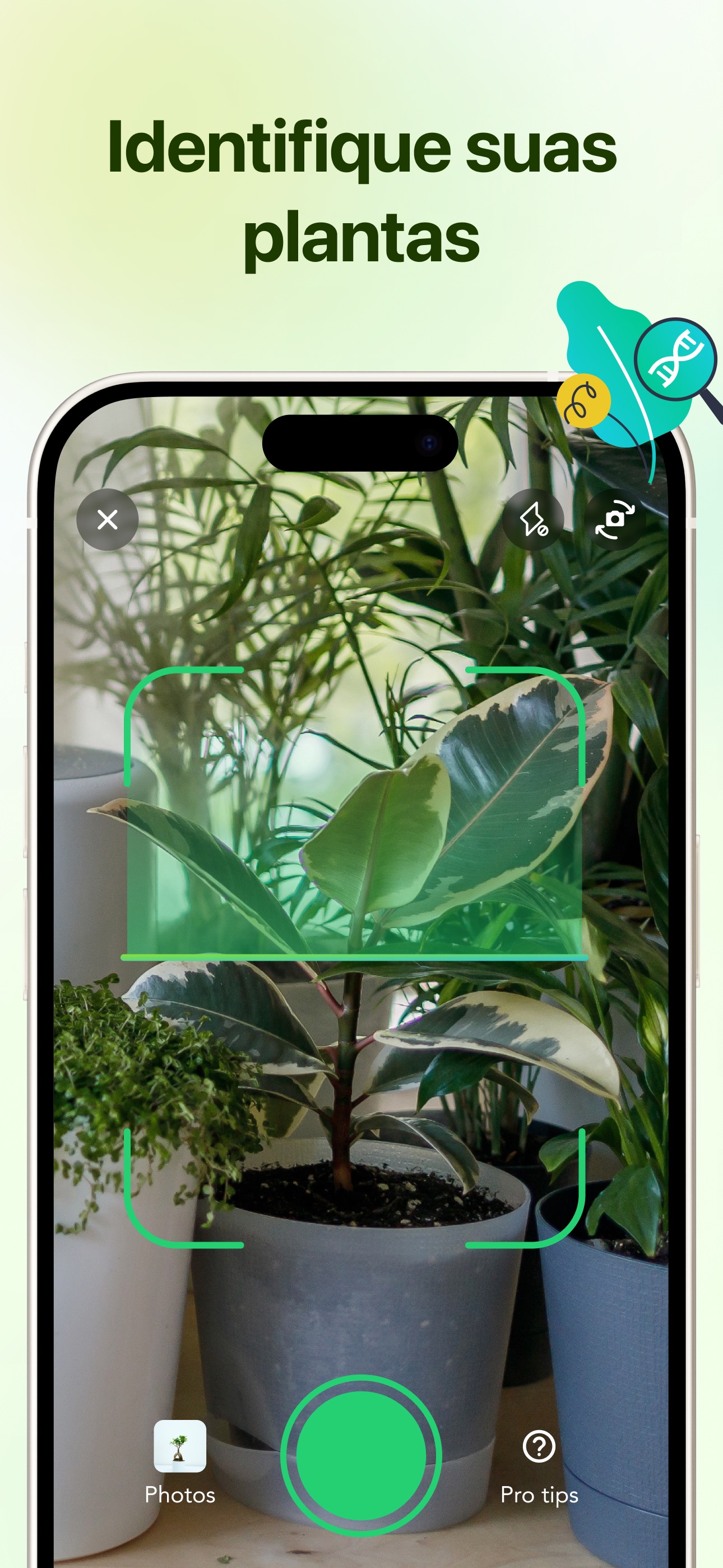 Captura de ecrã 1 da app Flora Identificador de plantas