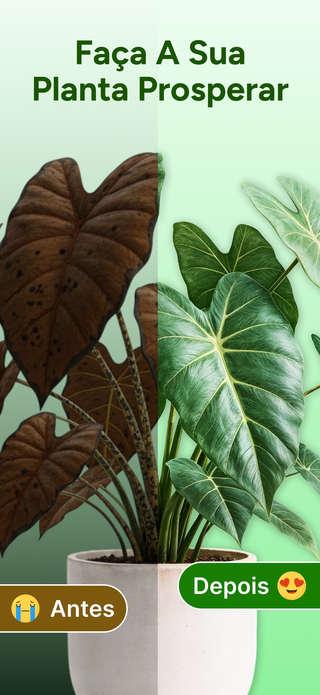 Captura de ecrã 1 da app PlantCheck: Plantas