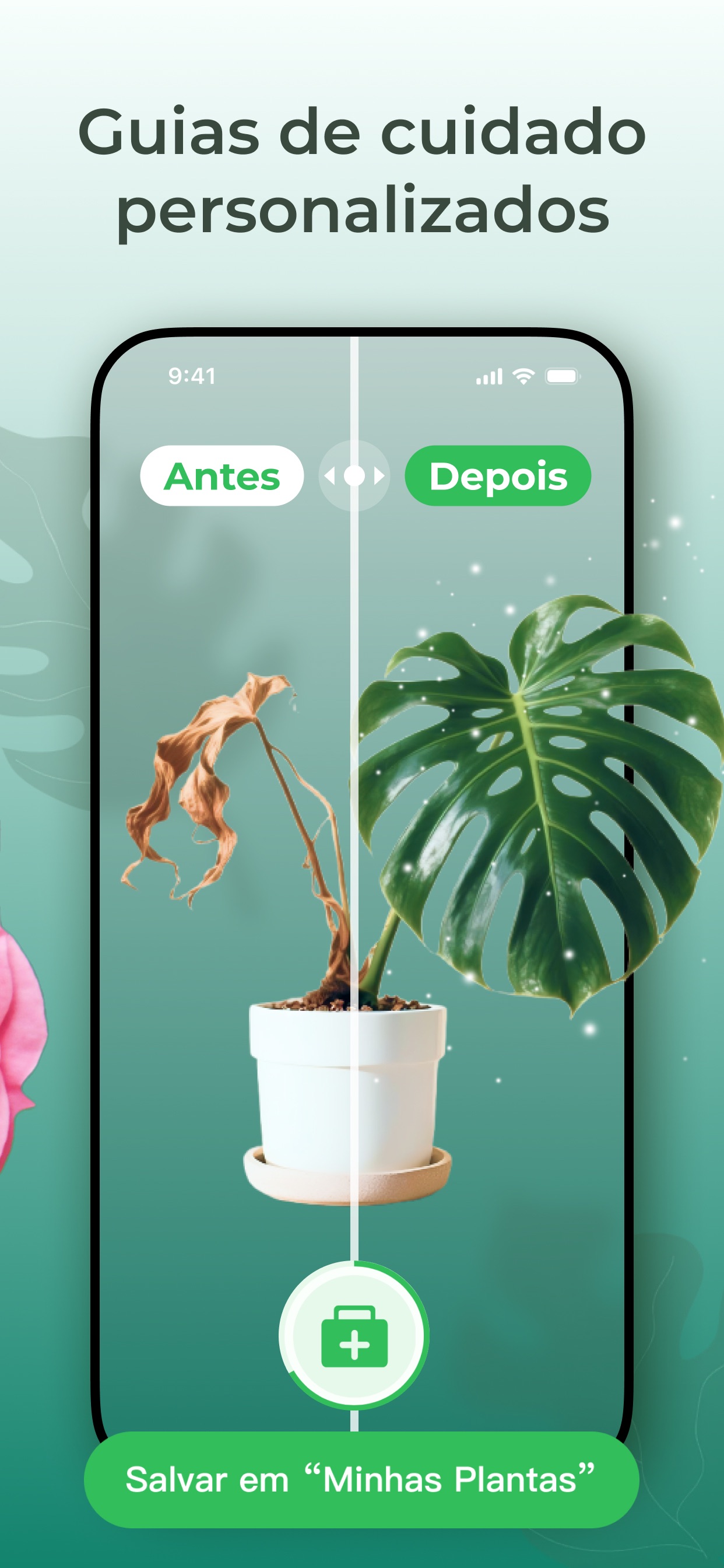 Captura de ecrã 2 da app PlantScope: Identifica Plantas