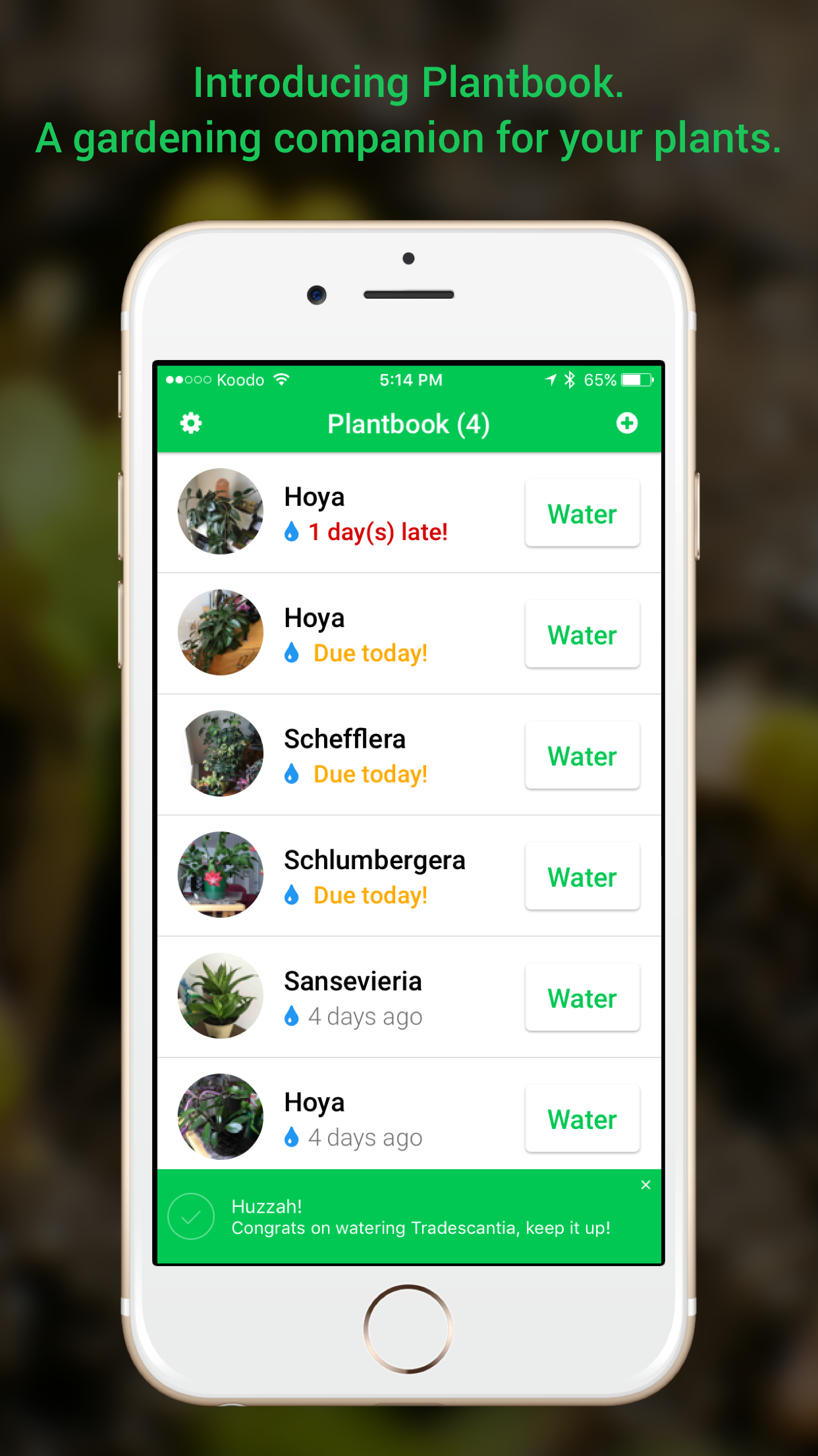 Captura de ecrã 1 da app Plantbook - Plants' Companion