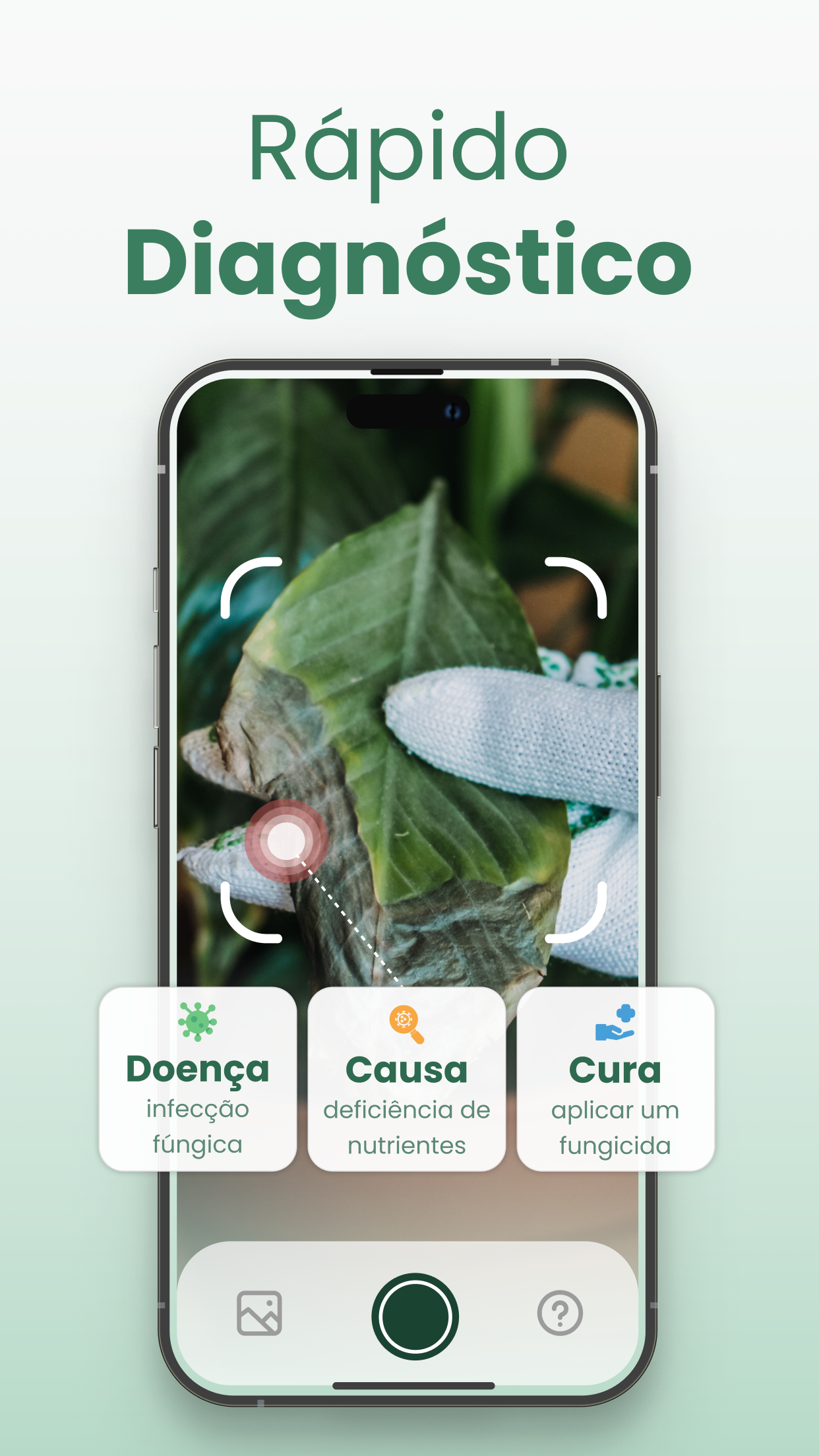 Captura de ecrã 4 da app Plantify: Identificar Plantas