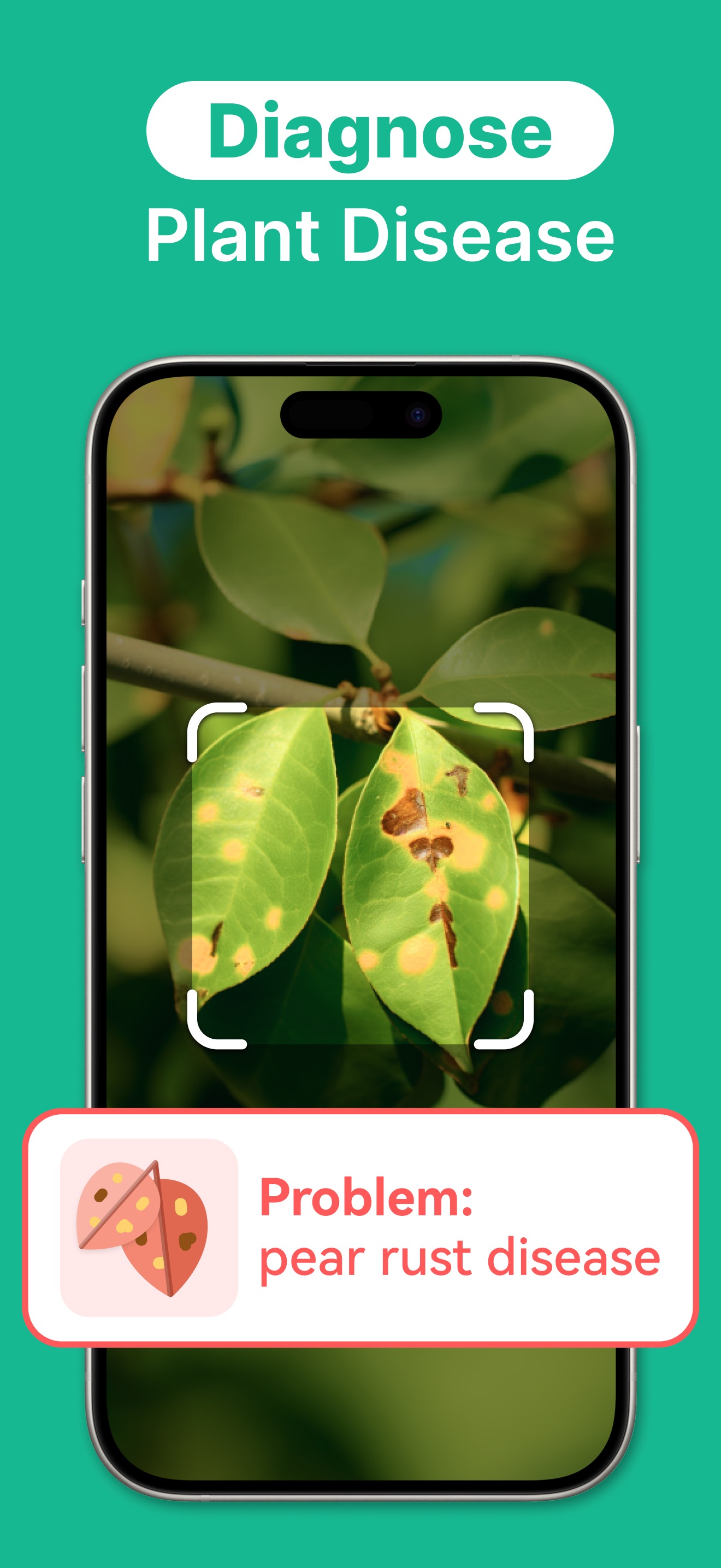 Captura de ecrã 3 da app AI Plant Identifier·Care Guide