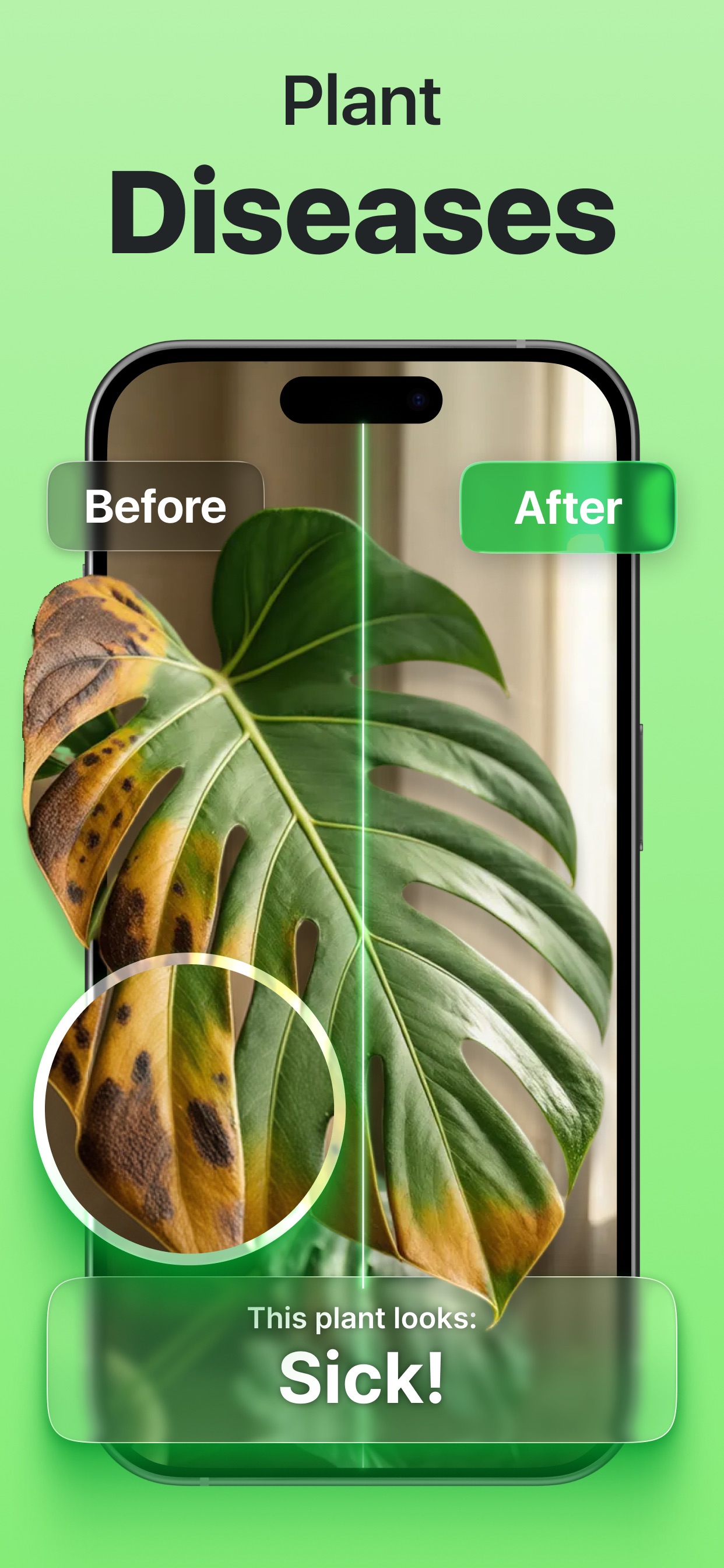 Captura de ecrã 2 da app Uplants - AI Plant Identifier