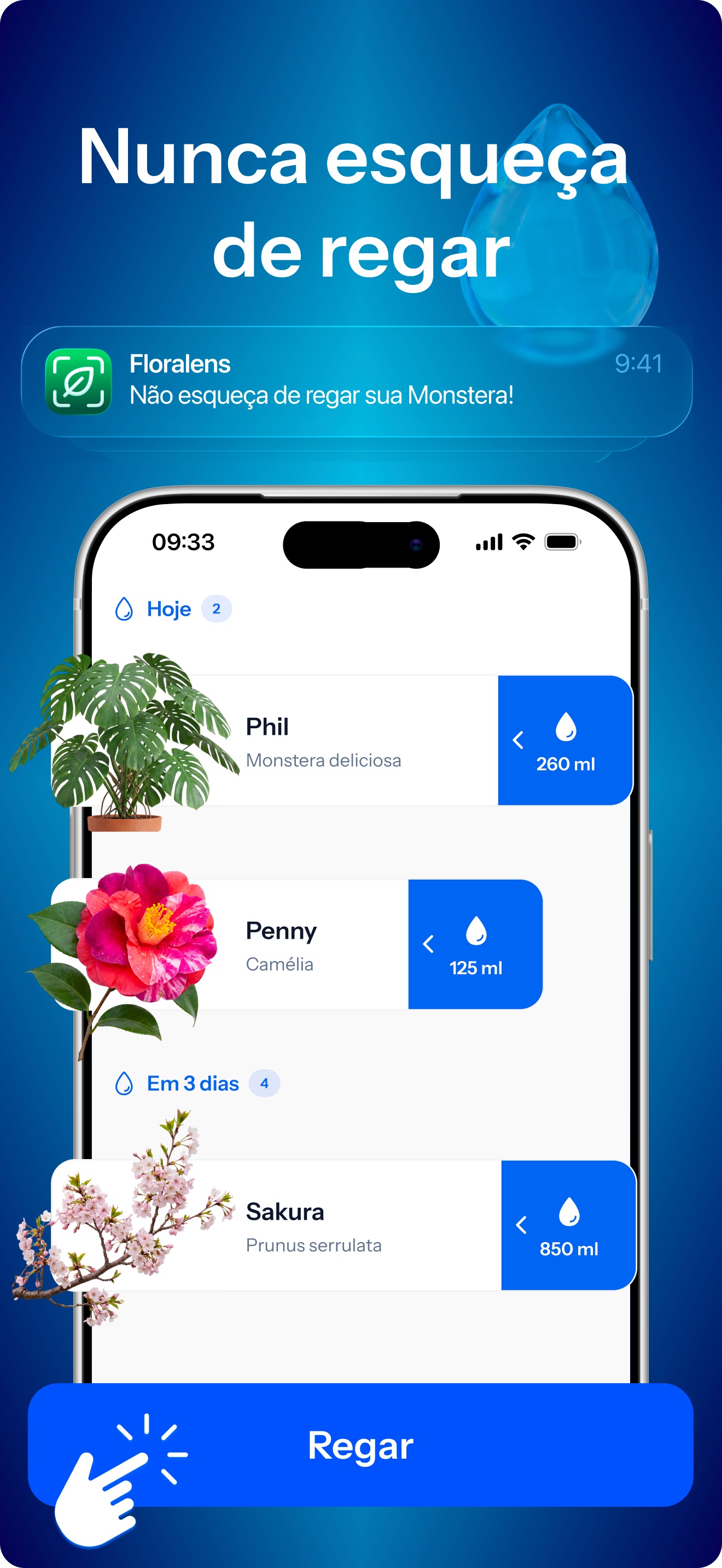 Captura de ecrã 3 da app Floralens: Identificar Planta