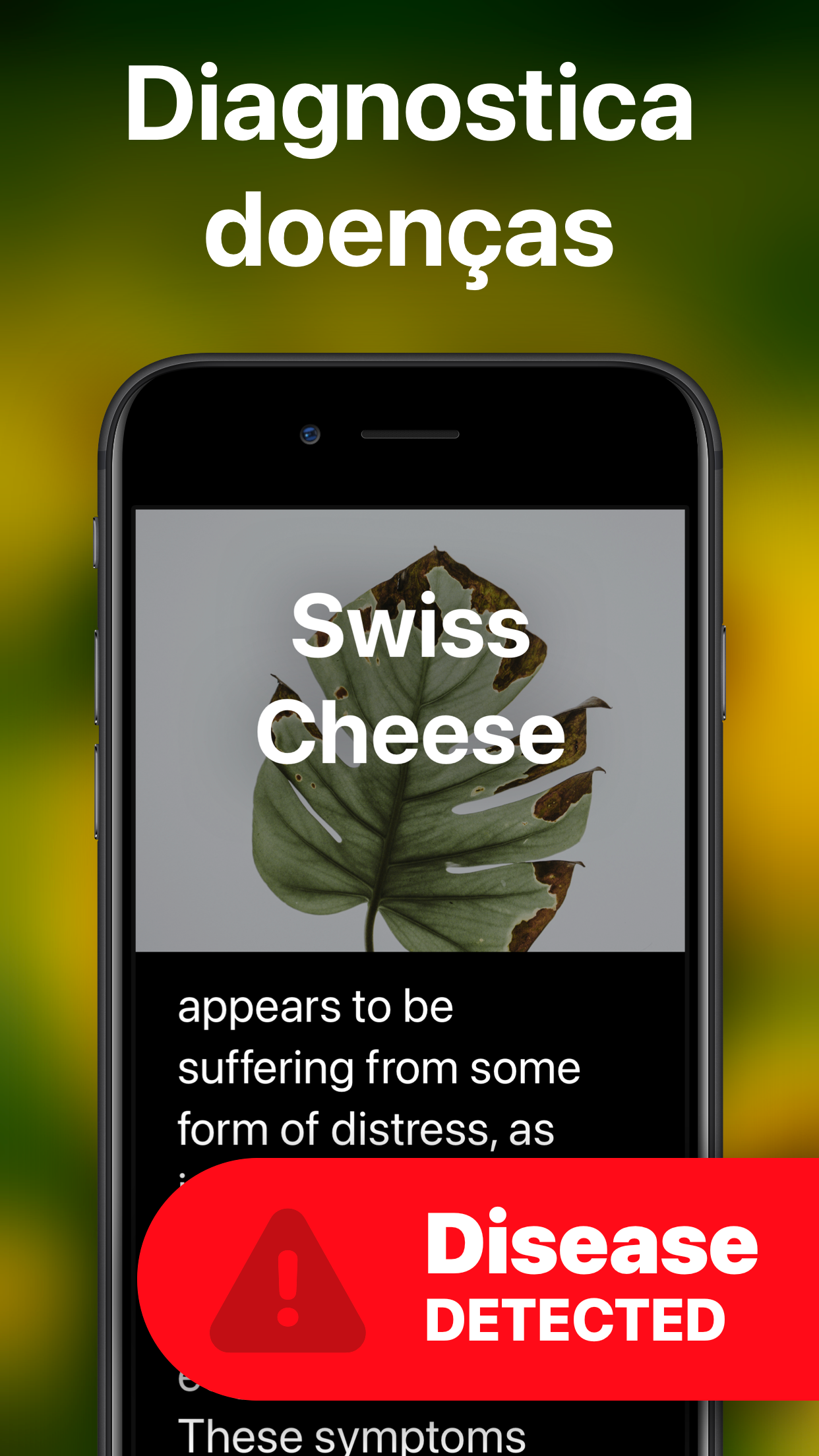Captura de ecrã 4 da app PlantAI Identificação plantas