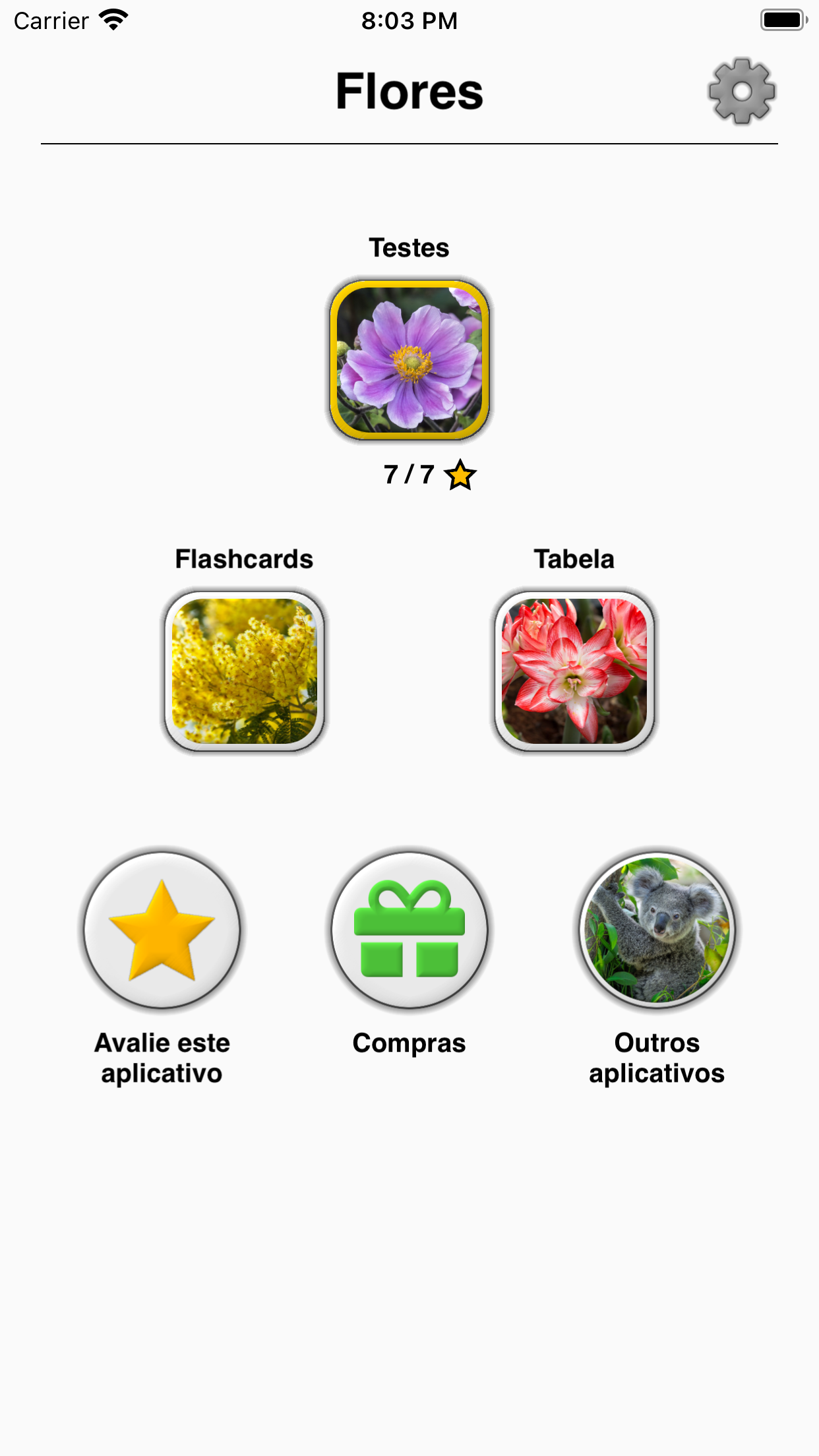 Captura de ecrã 3 da app Flores: identificar as plantas