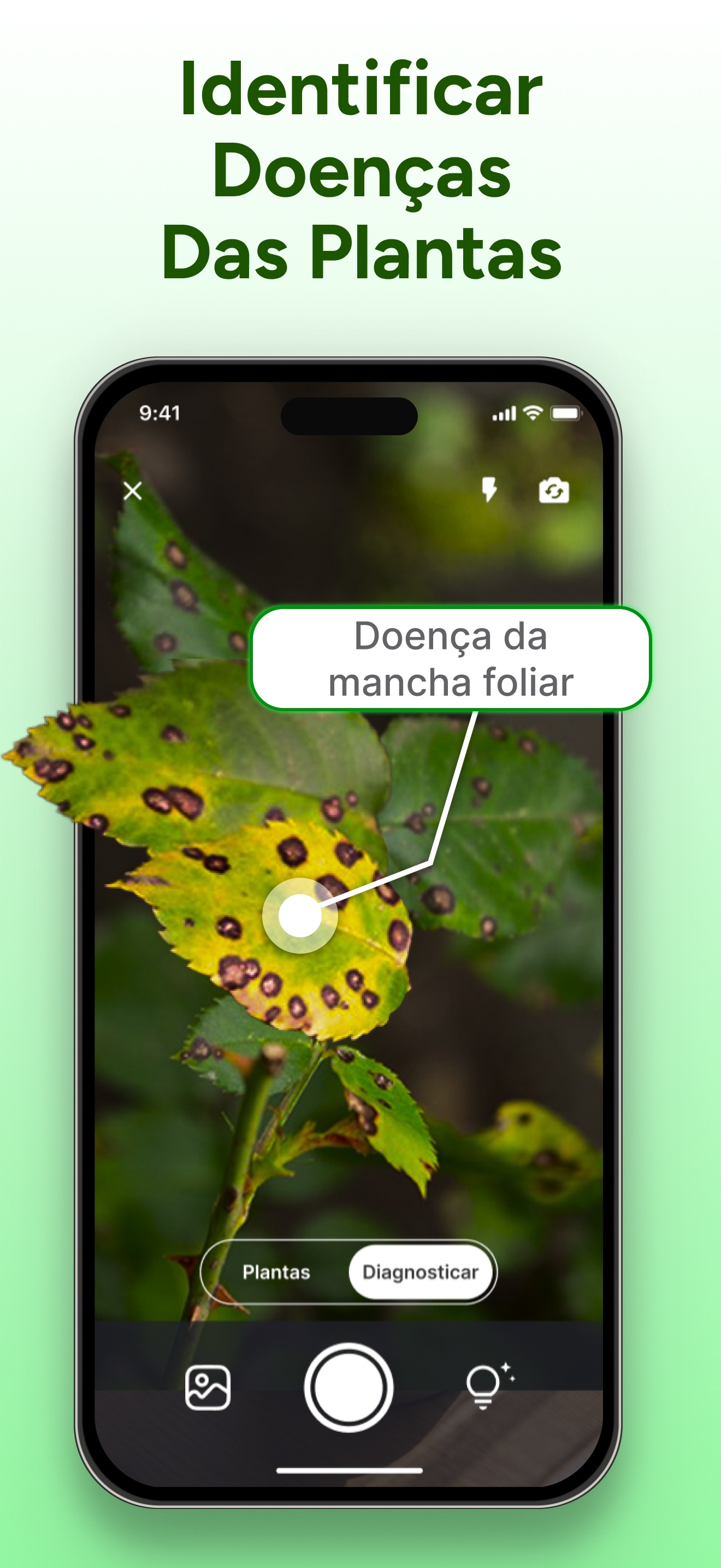 Captura de ecrã 3 da app PlantCheck: Plantas