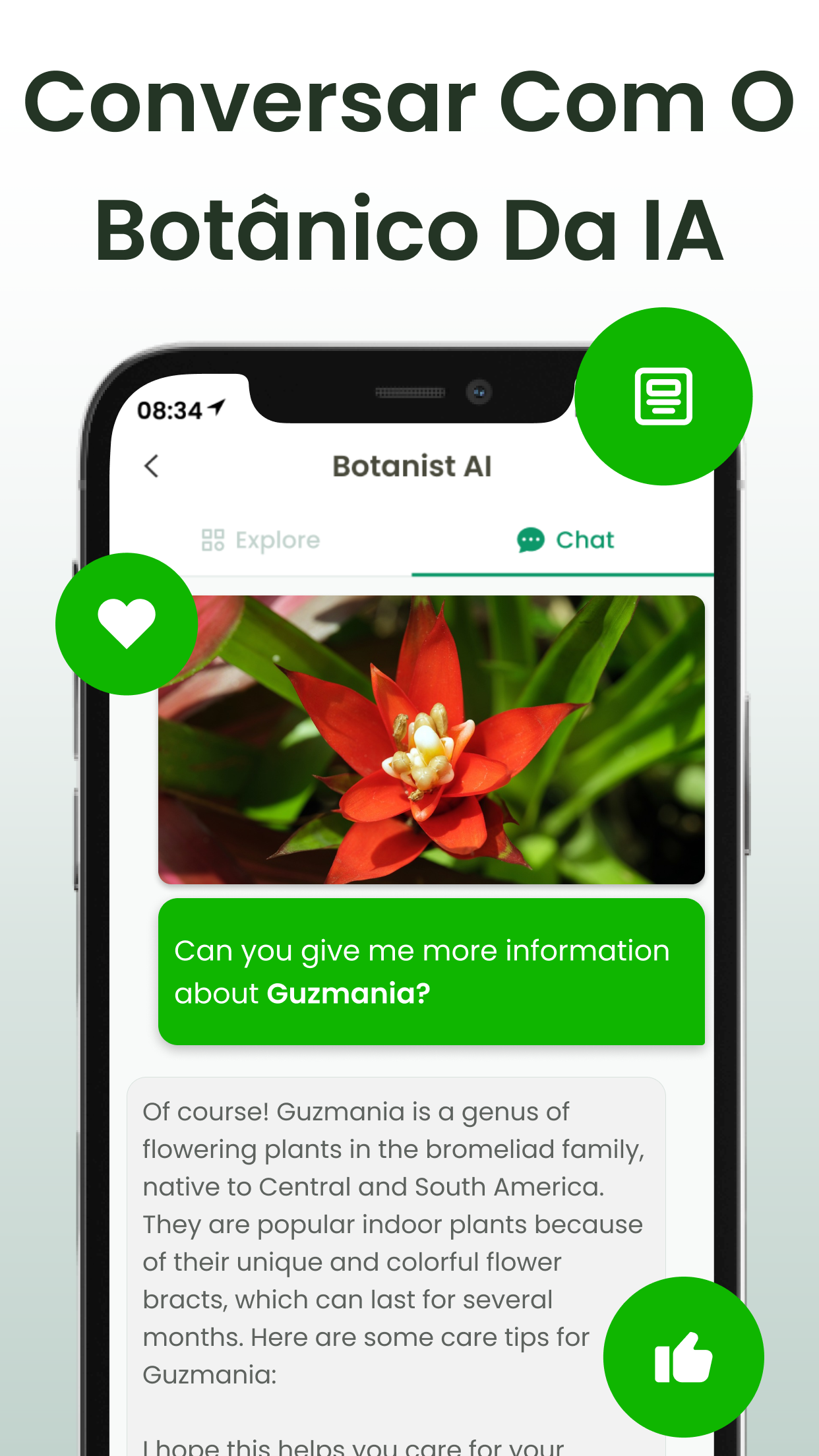Captura de ecrã 4 da app Identificar plantas: Plantiary