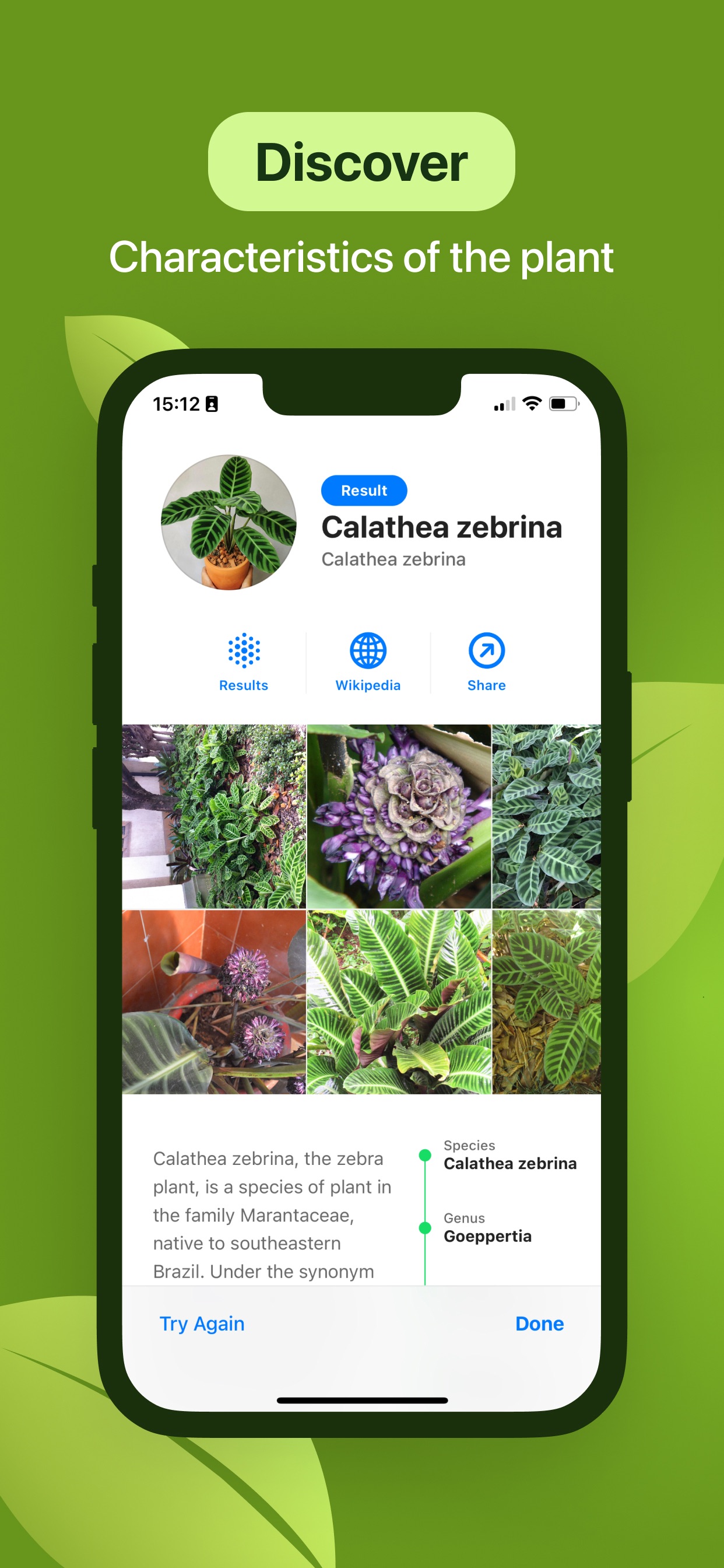 Captura de ecrã 3 da app Leaf Identification
