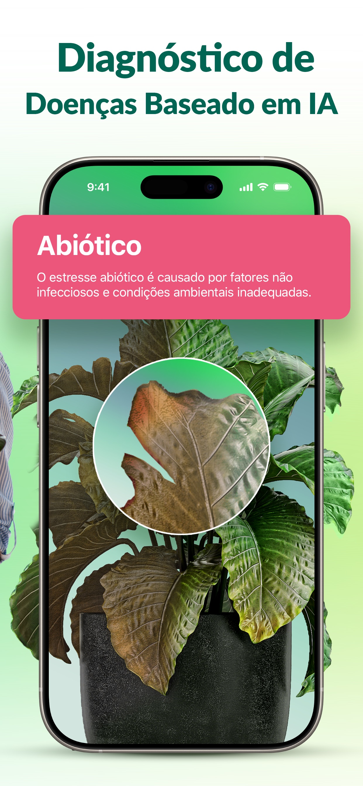 Captura de ecrã 3 da app Plantum: Identificador plantas
