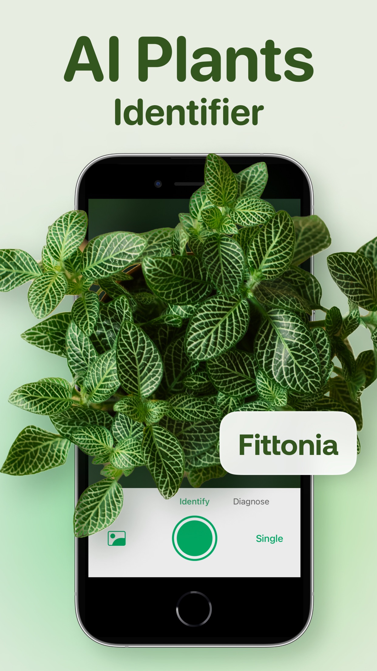 Captura de ecrã 1 da app AI Plant Identifier - Plant ID