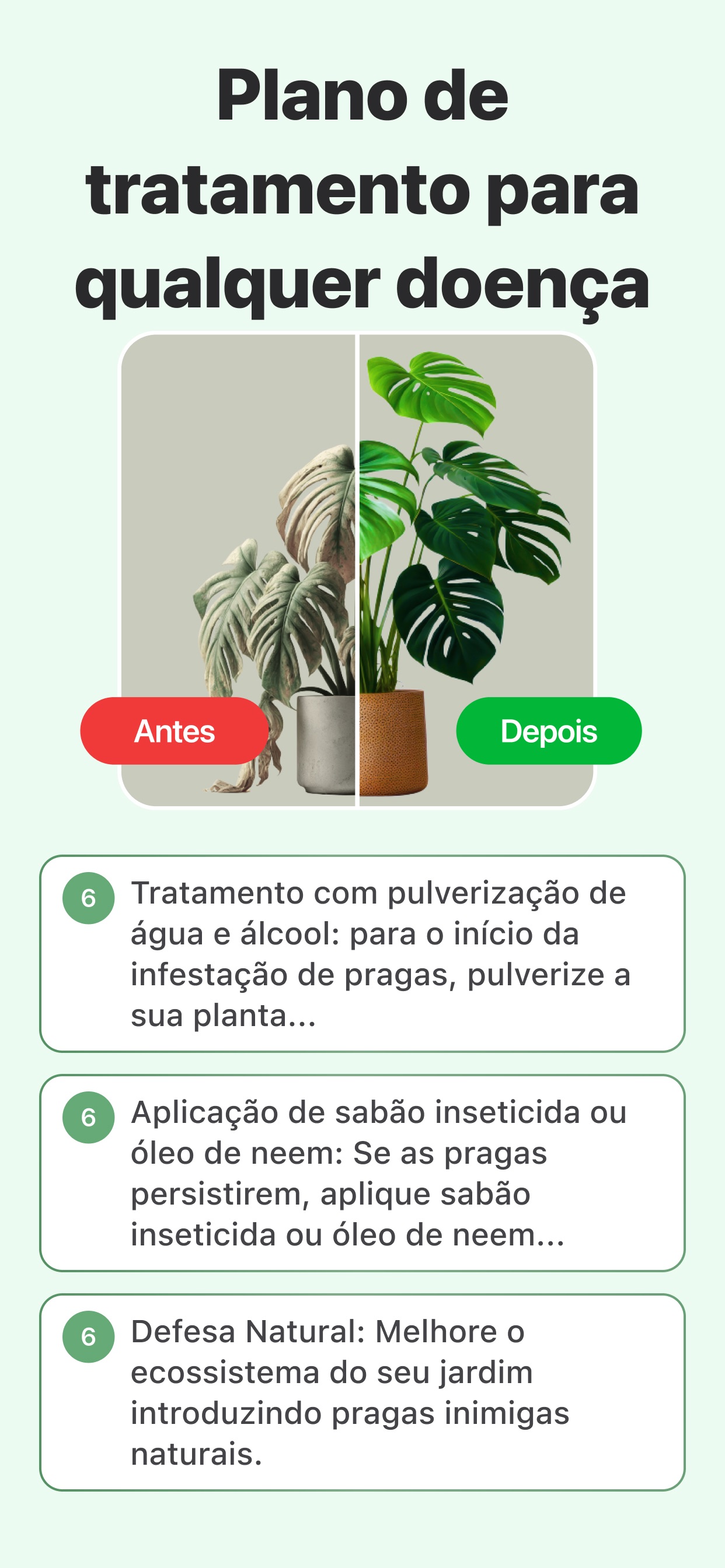 Captura de ecrã 3 da app Identificador de Plantas - PDI