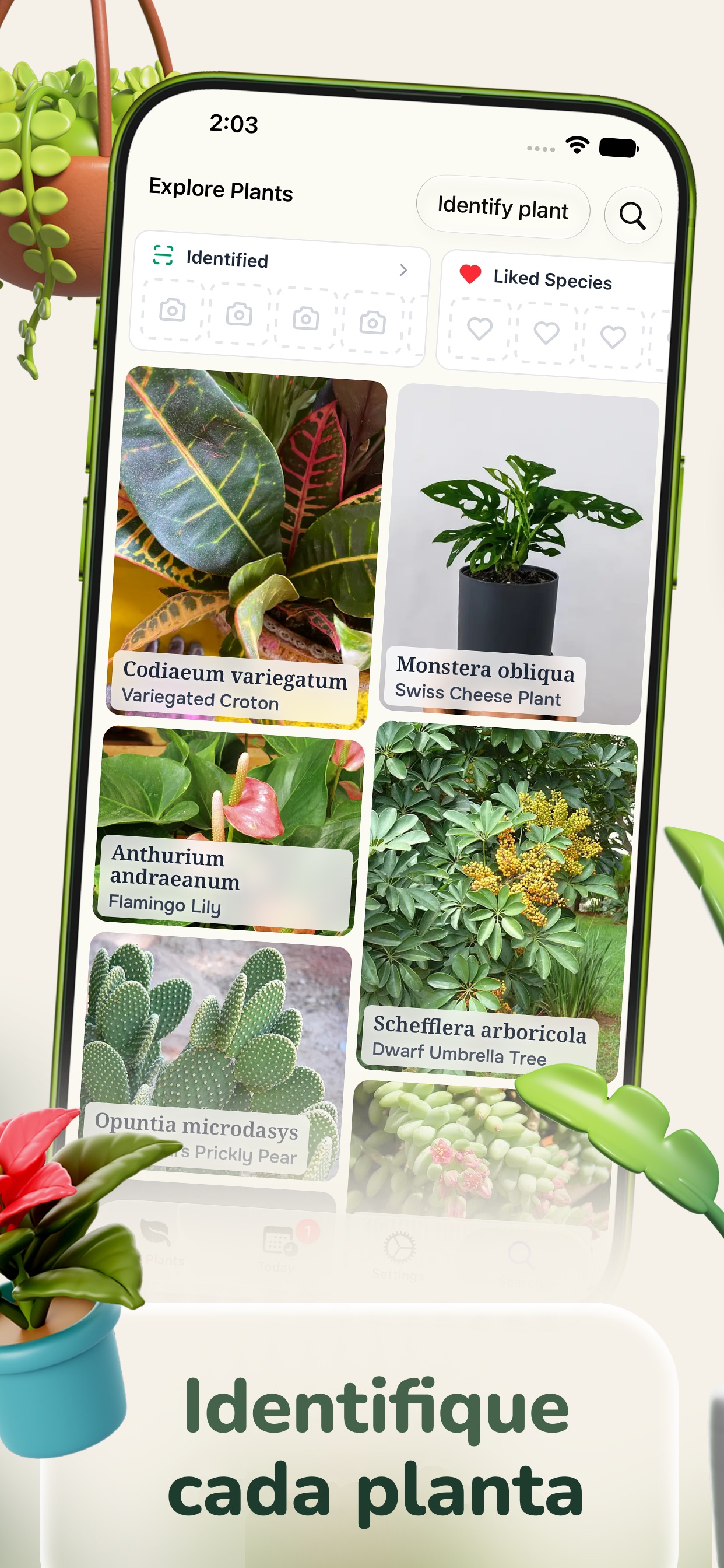 Captura de ecrã 2 da app Cuidado de Plantas - Ploi