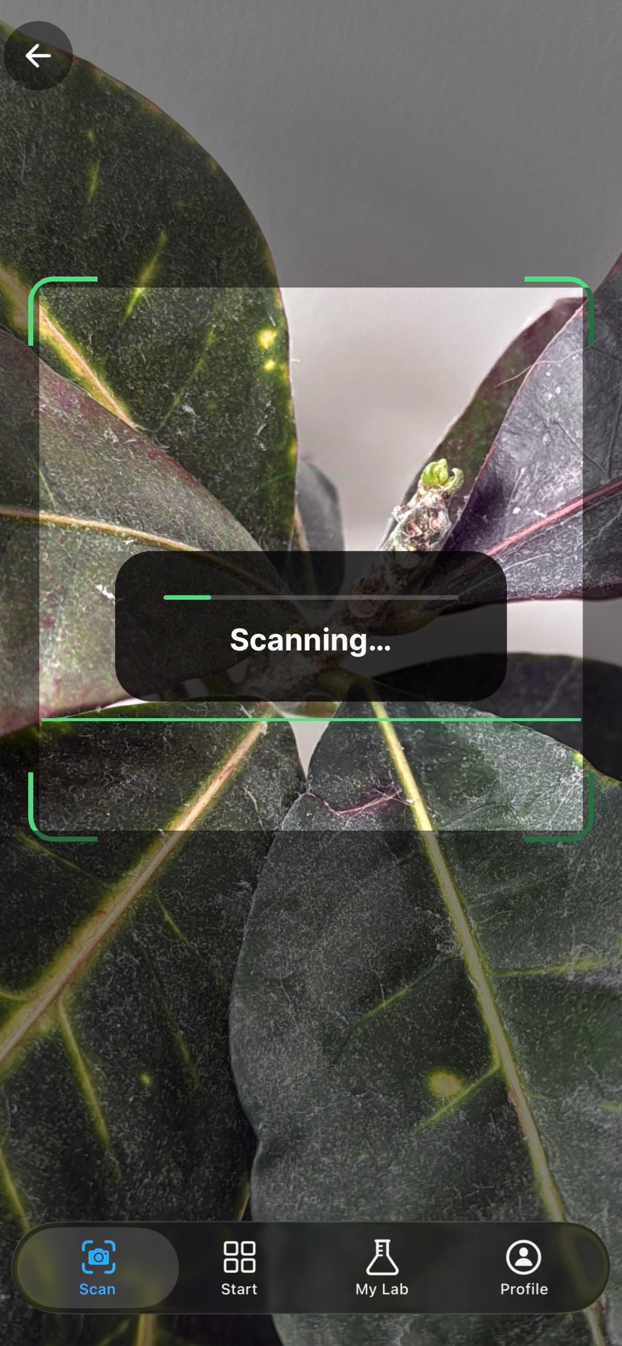 Captura de ecrã 3 da app Grow It! - Plant Scanner & Lab