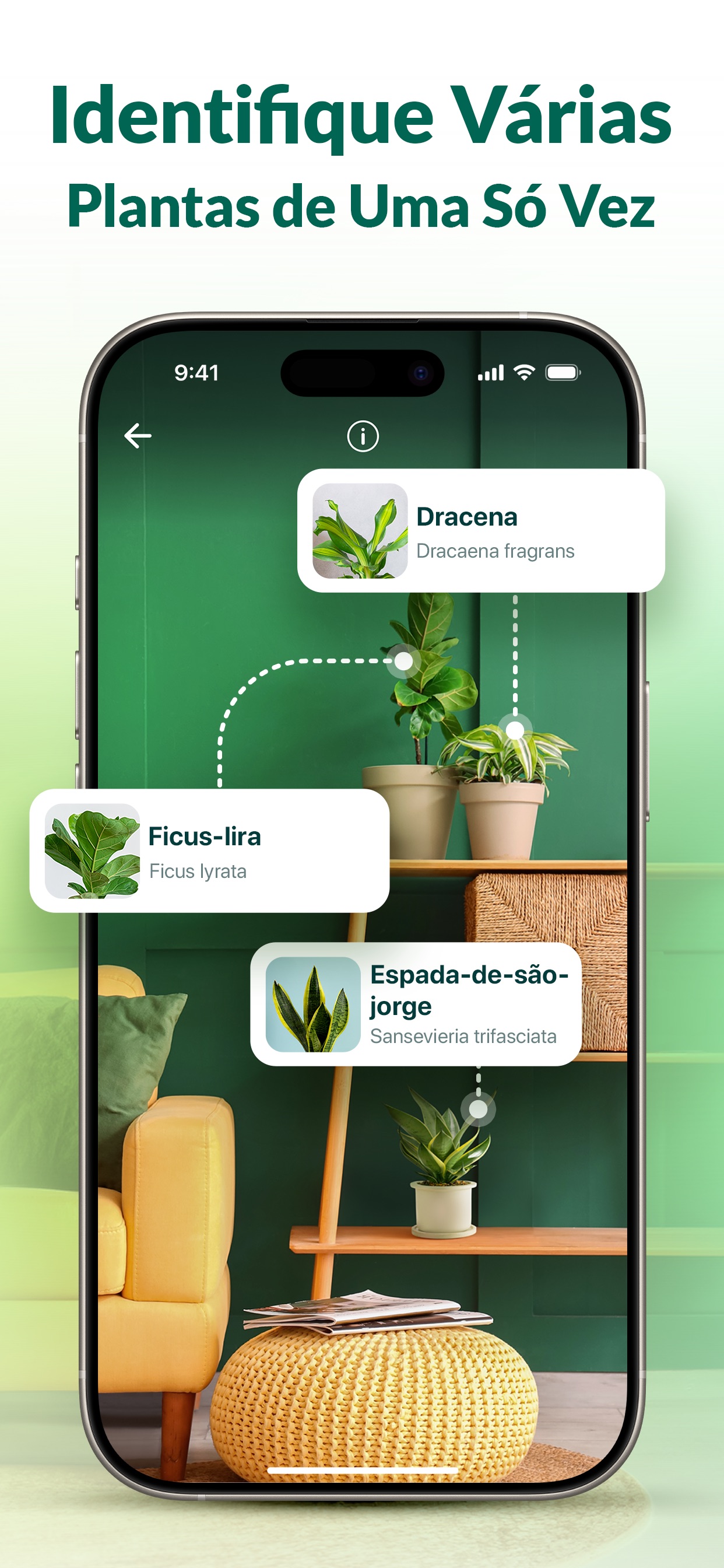 Captura de ecrã 4 da app Plantum: Identificador plantas