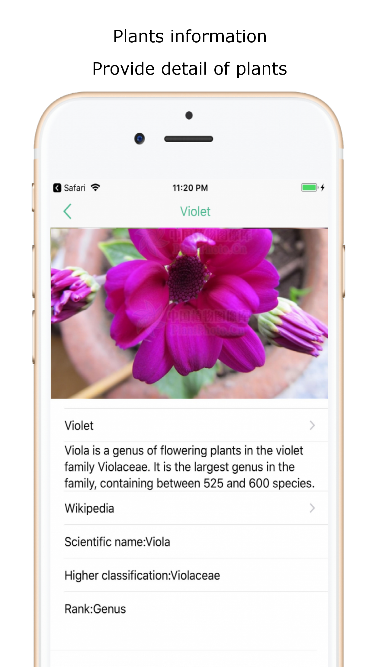 Captura de ecrã 2 da app iplant - Plant identifier