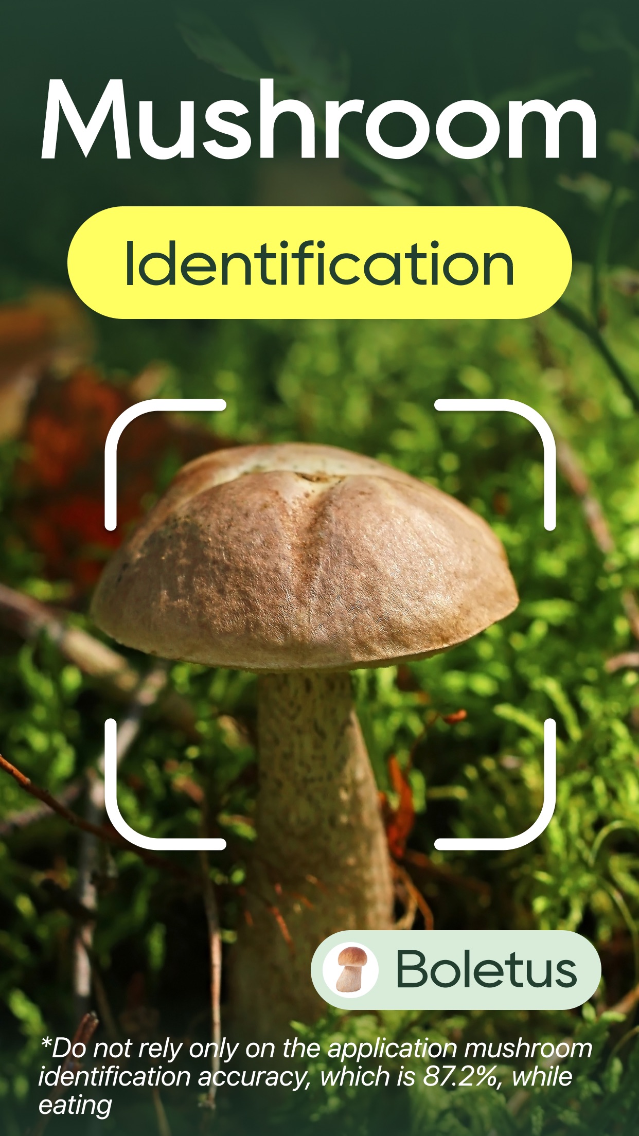 Captura de ecrã 3 da app Identificador plantas PLNTai