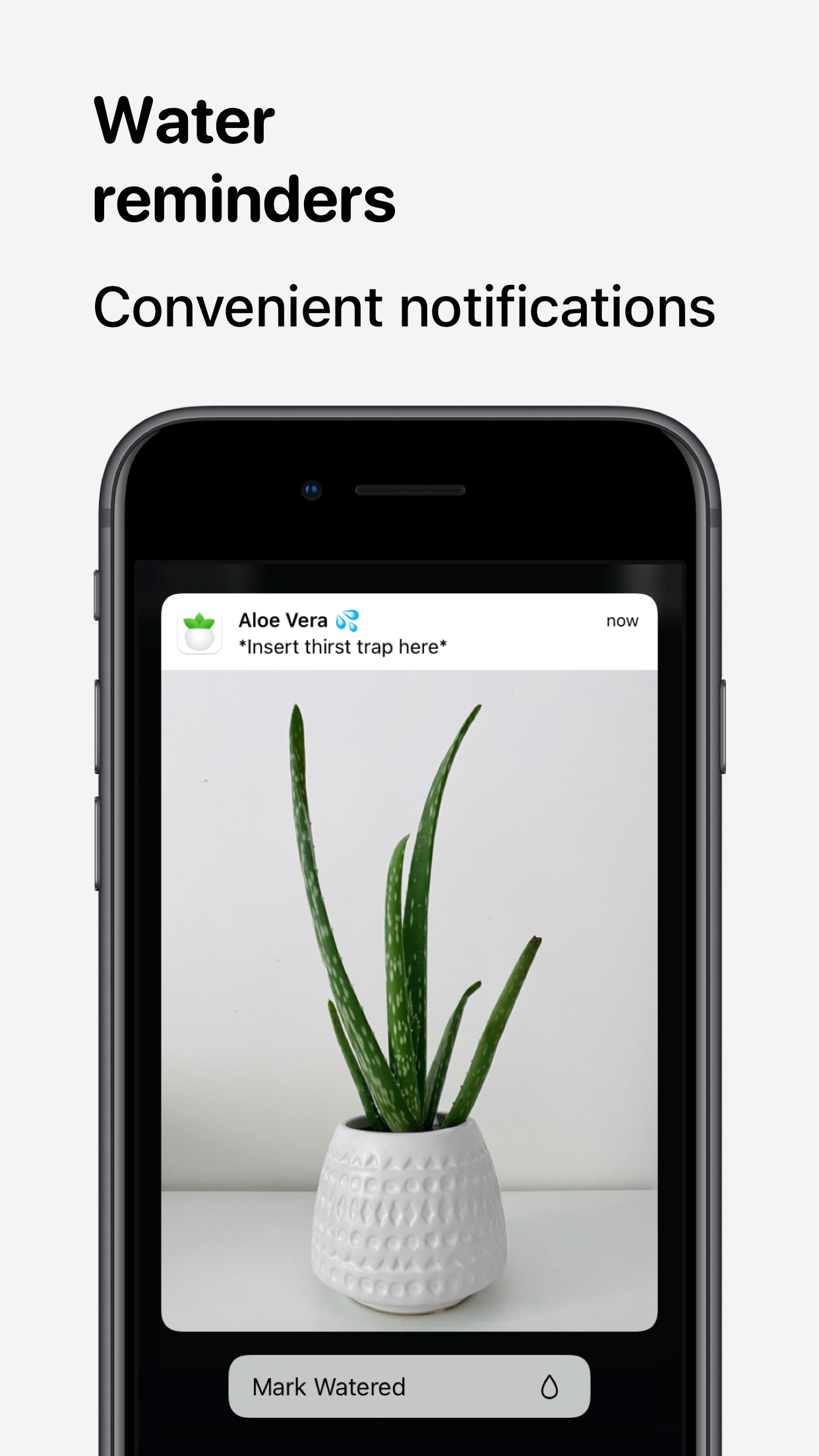 Captura de ecrã 3 da app Plant Daddy — Water Reminders