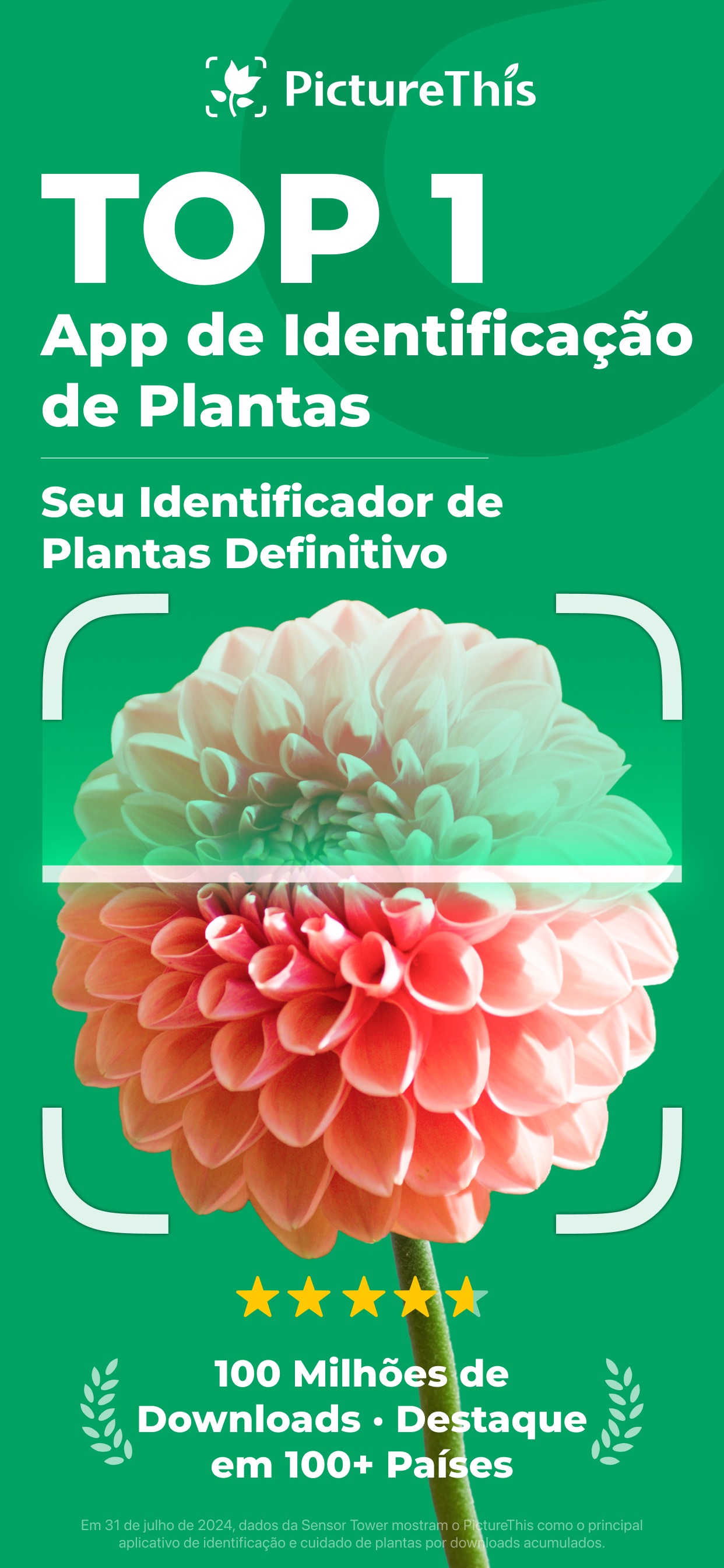 Captura de ecrã 1 da app PictureThis - Flores e Árvores