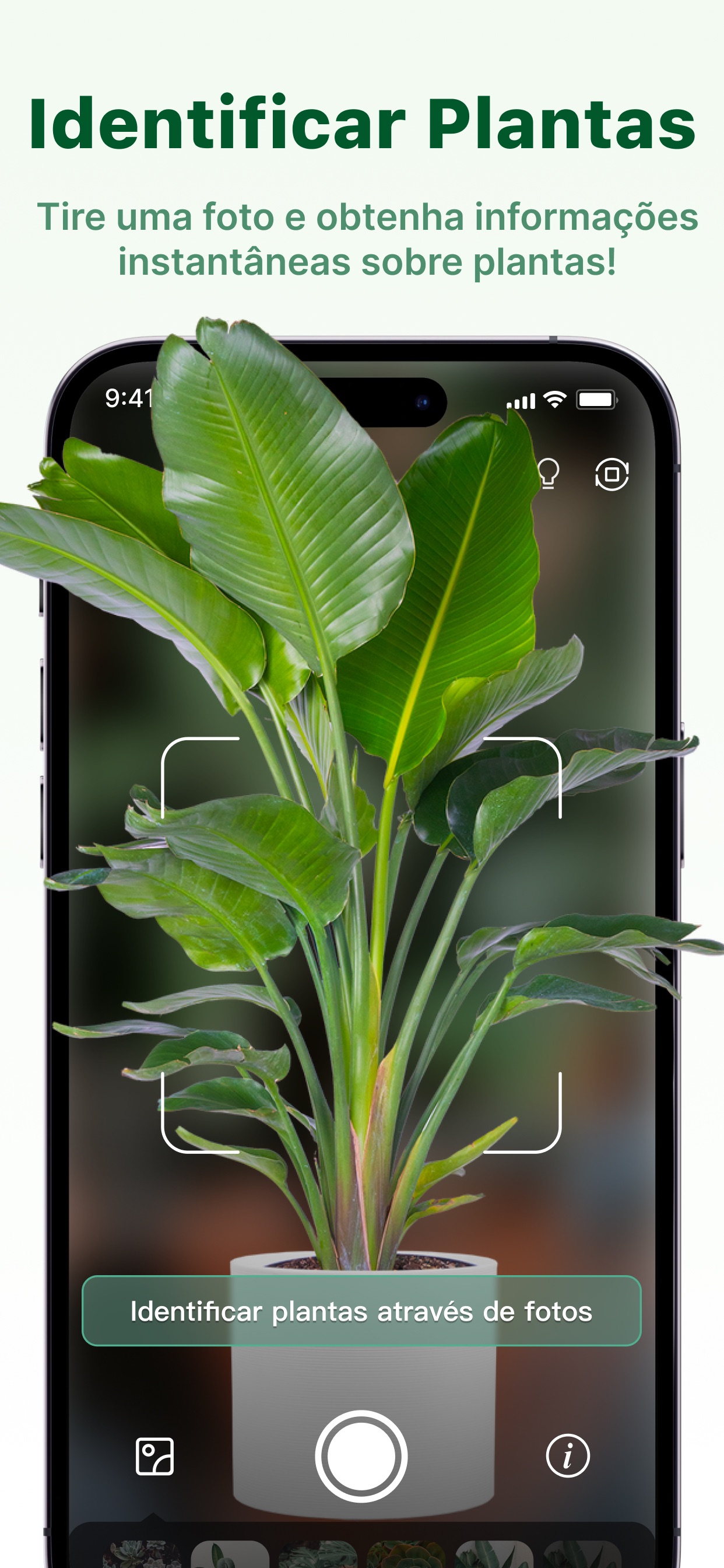 Captura de ecrã 3 da app Verde Finder:Plant Identifier