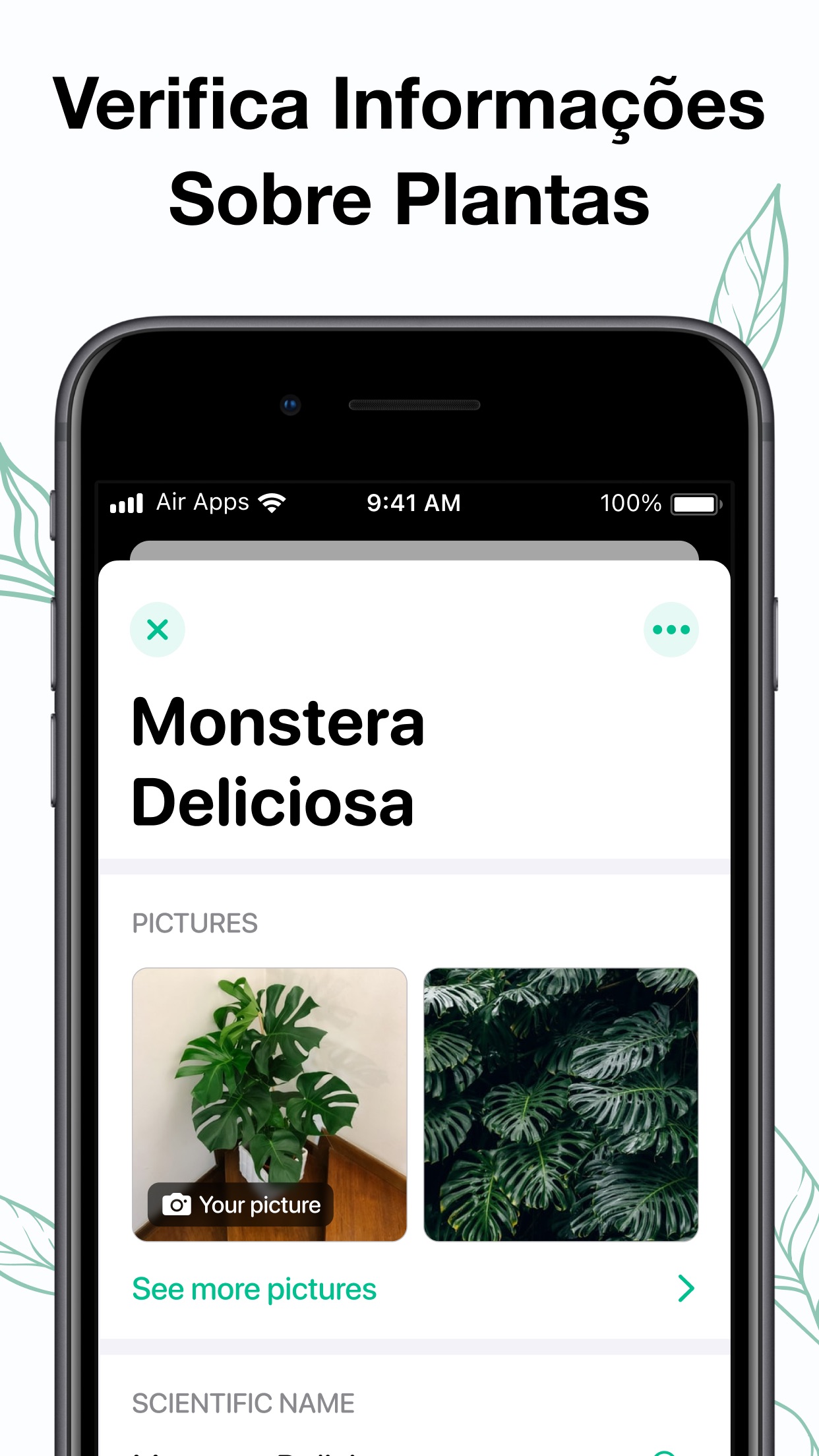 Captura de ecrã 3 da app Plants Air: Identifica Plantas