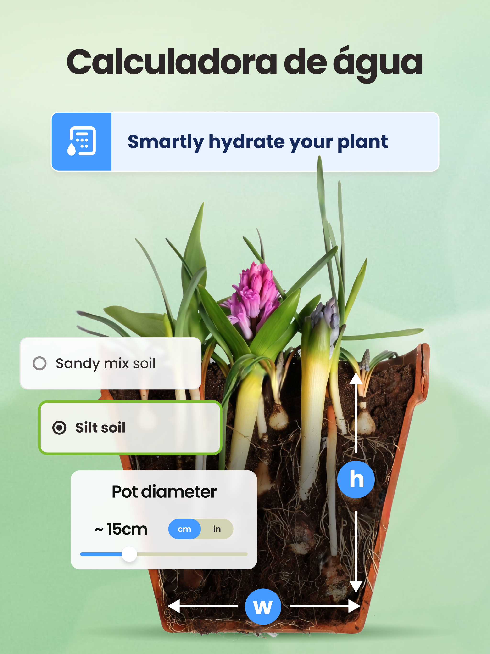 Captura de ecrã 3 da app Identificador－Plantas e Flores