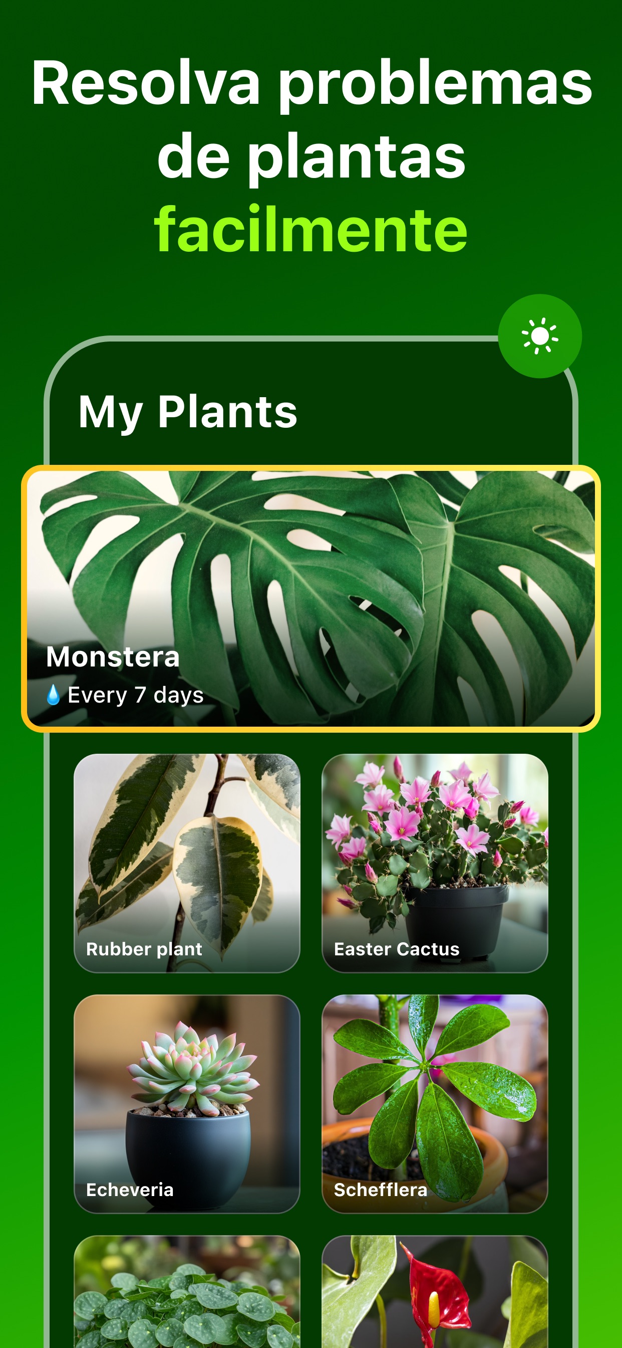 Captura de ecrã 3 da app PlantDoc - Identificador de AI