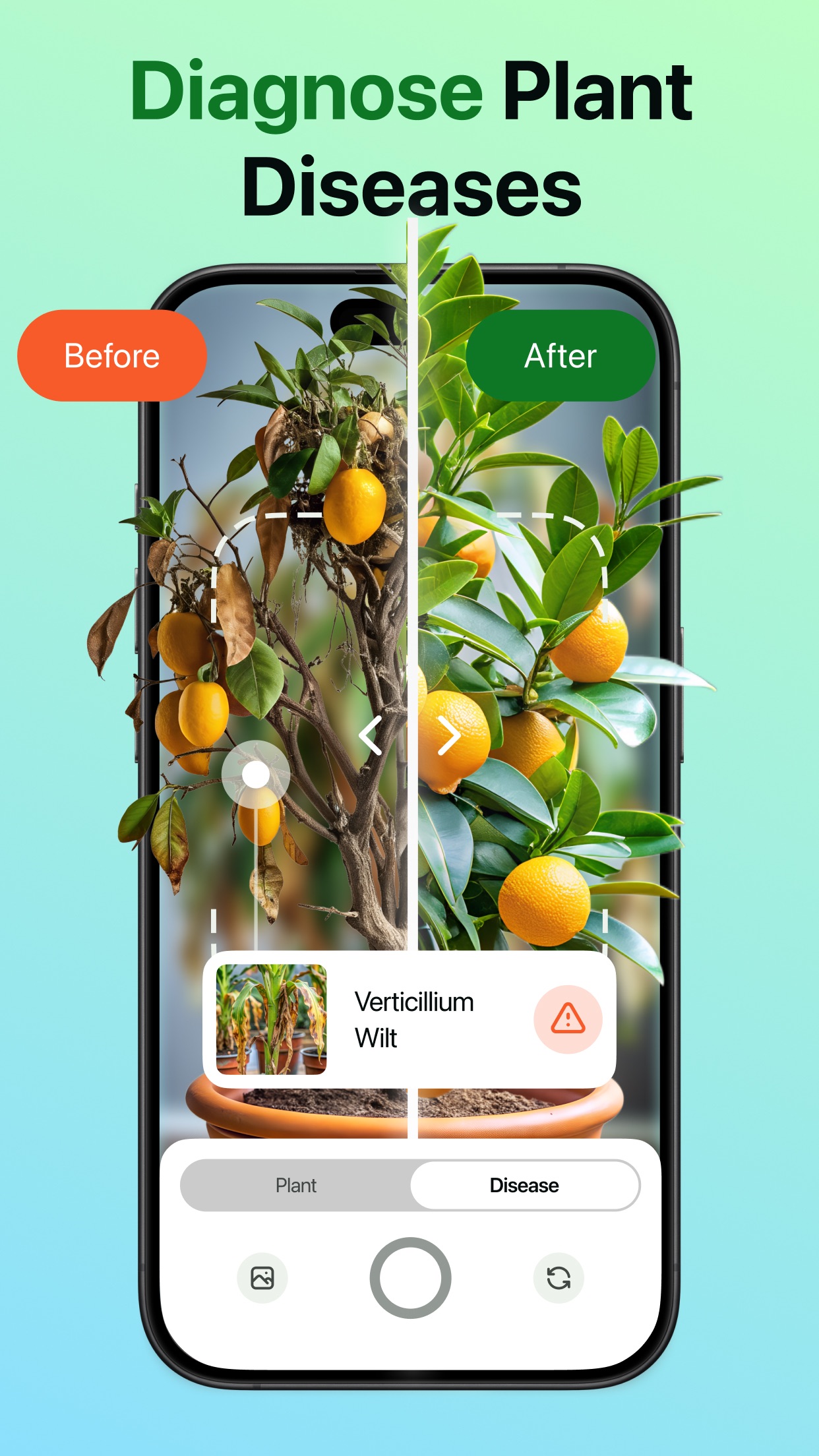 Captura de ecrã 2 da app Plant Expert AI
