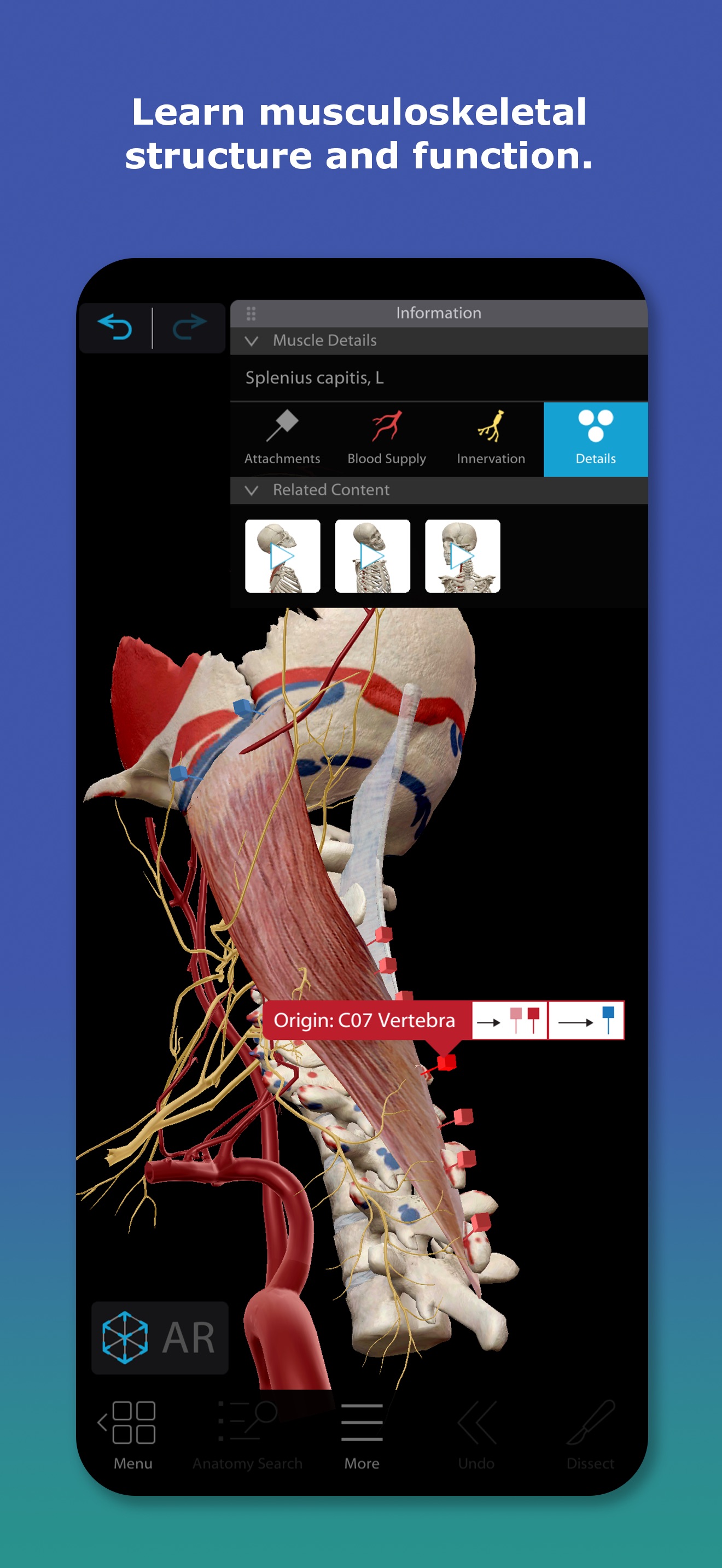 Captura de ecrã 3 da app Human Anatomy Atlas 2026